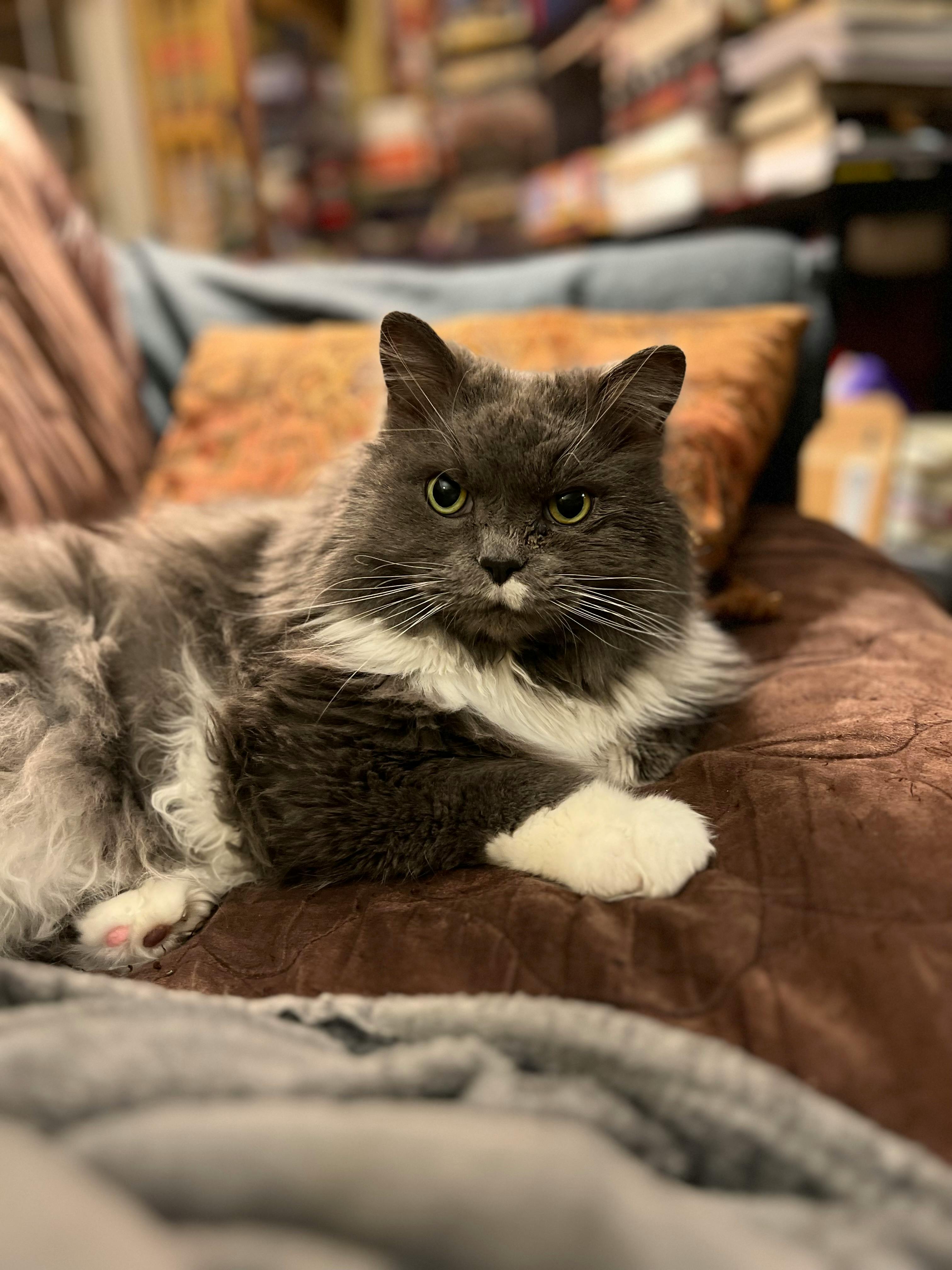 user avatar image for Sunni B.