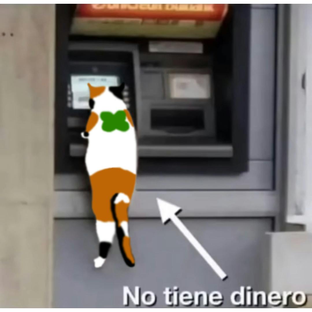 user avatar image for fruitfiish