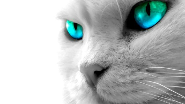 user avatar image for Tom