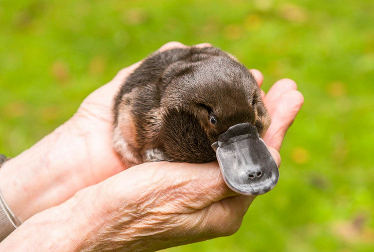 user avatar image for Panzer_242