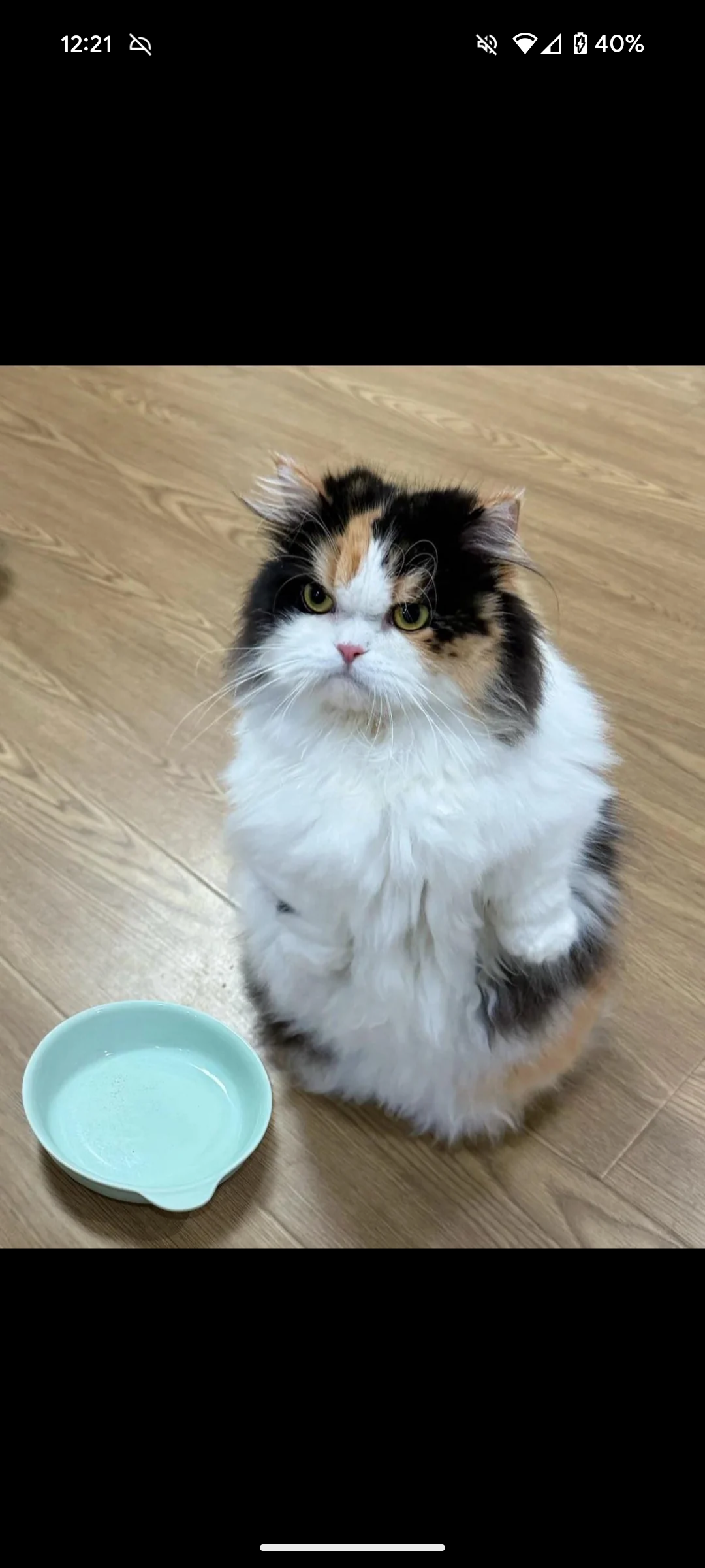 user avatar image for Paradise