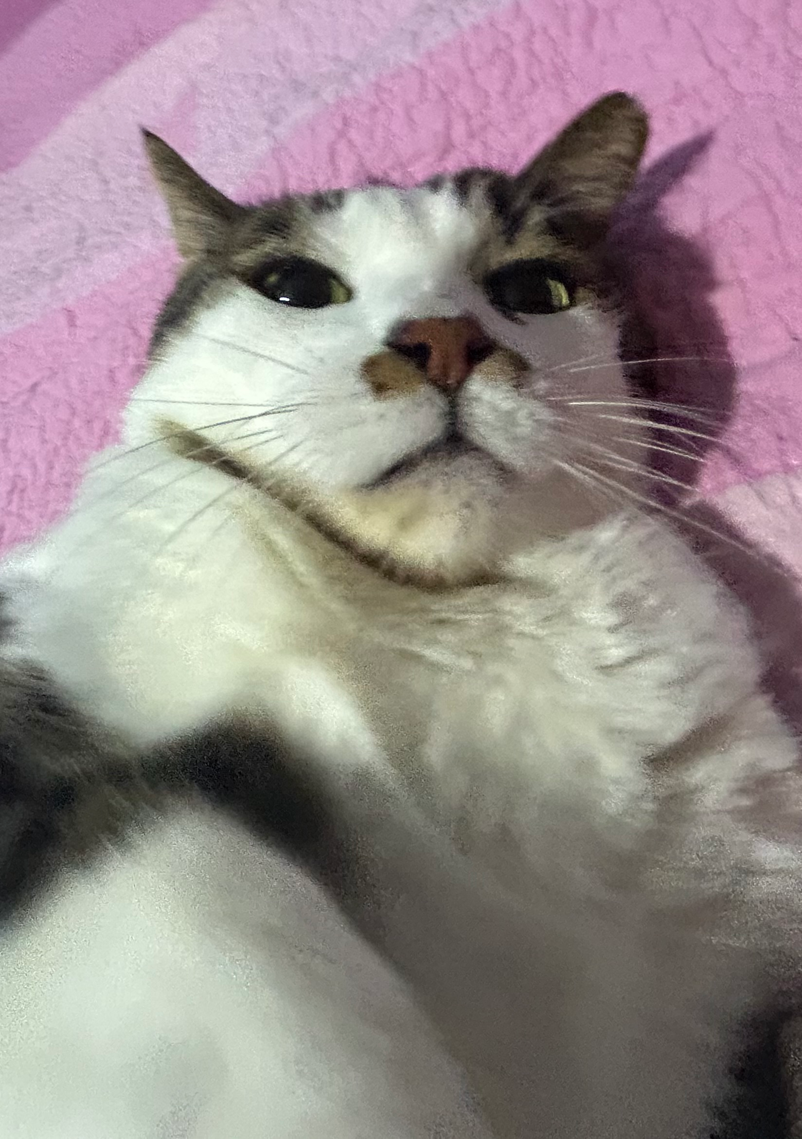 user avatar image for Olga