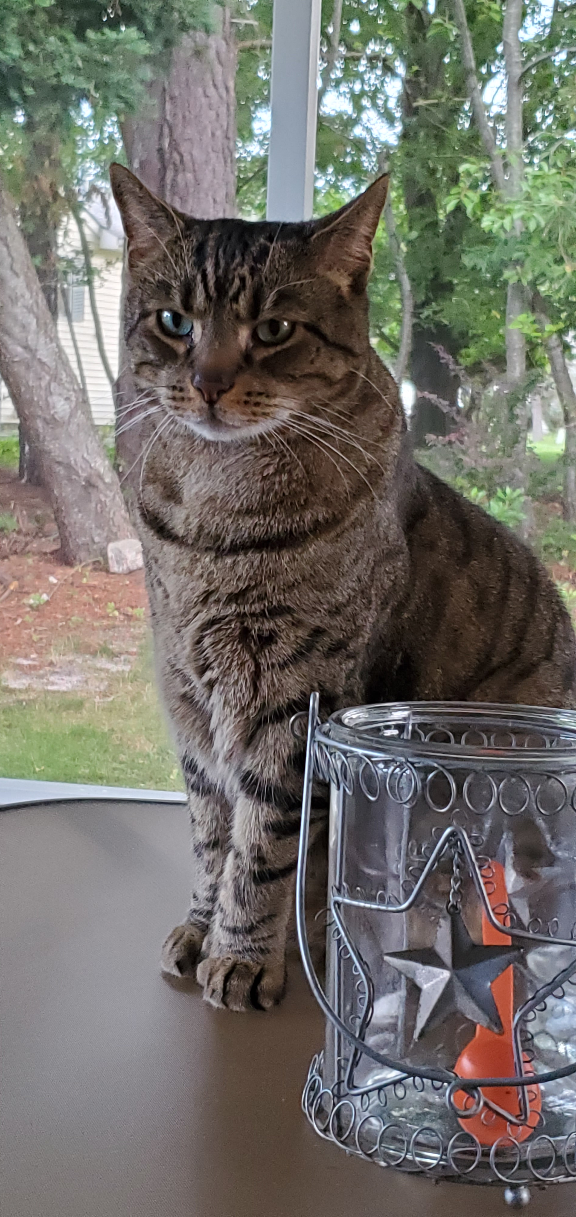 user avatar image for Sue