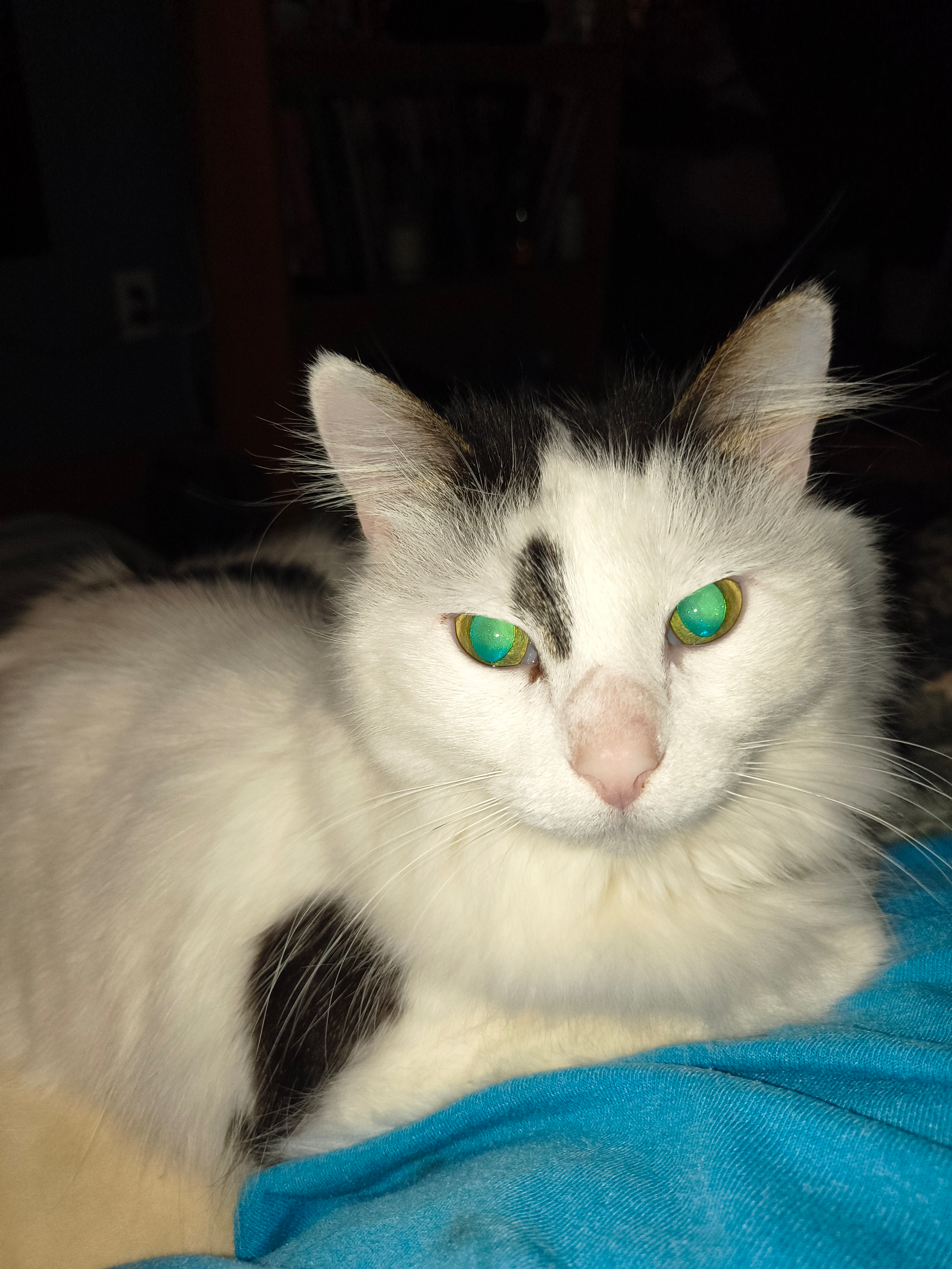 user avatar image for OtherworldlyGnome