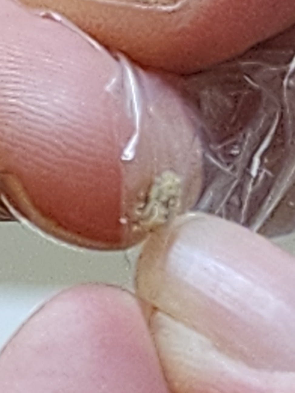 user avatar image for Al Hoppe