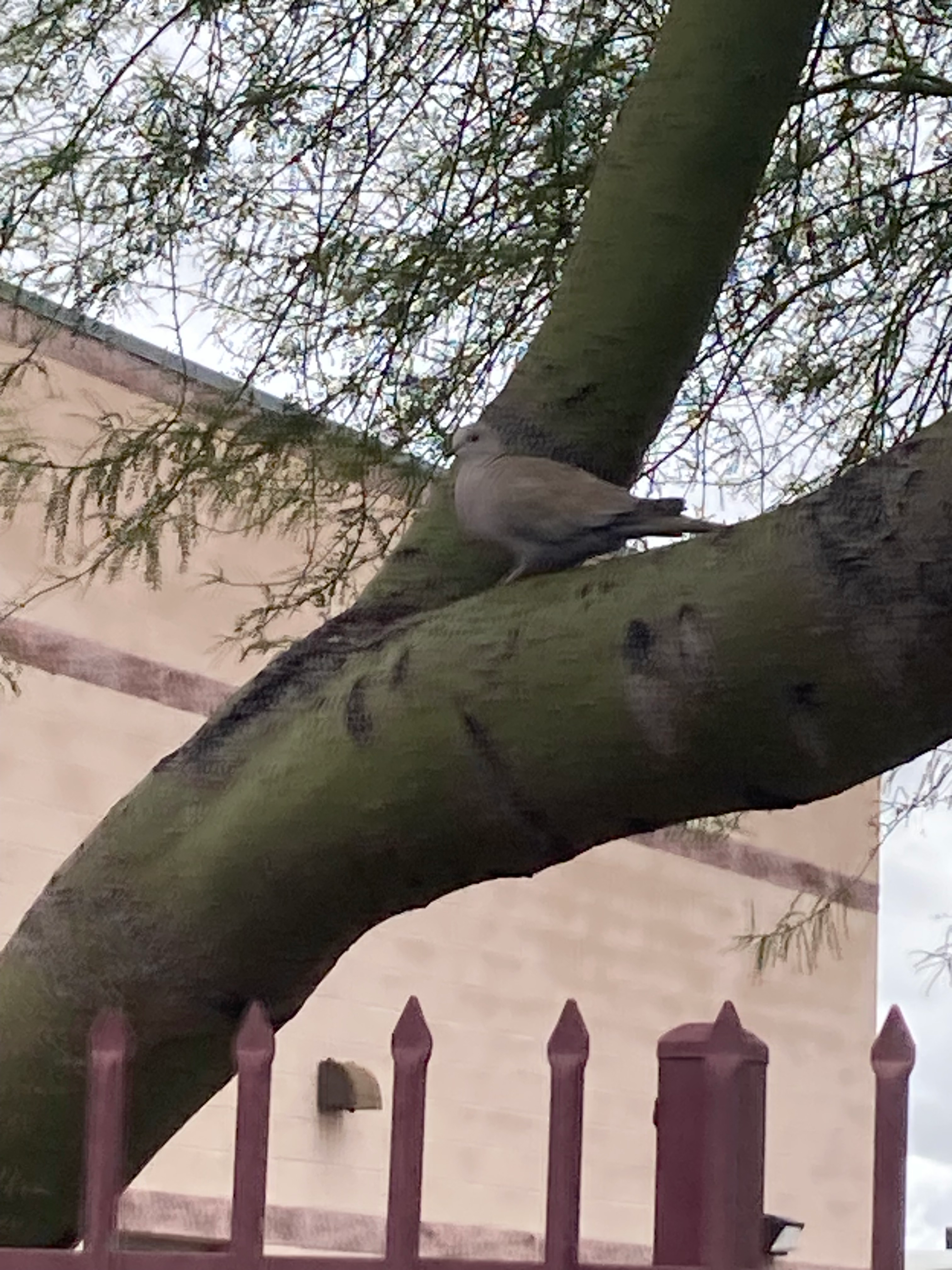 user avatar image for Karime