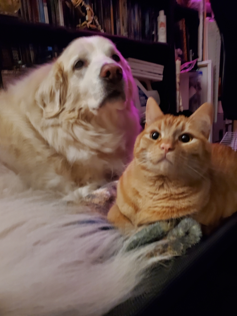 user avatar image for Katie