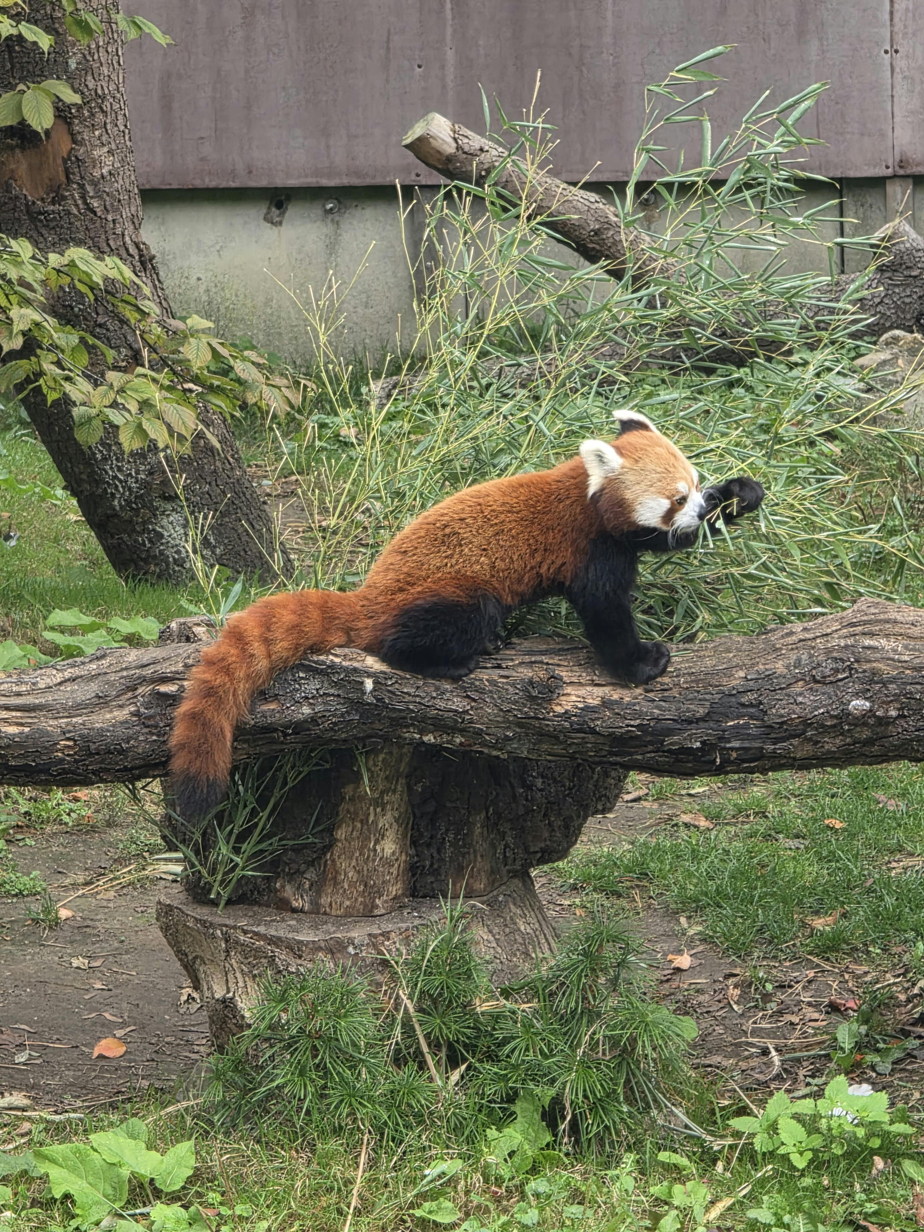 user avatar image for Sandra