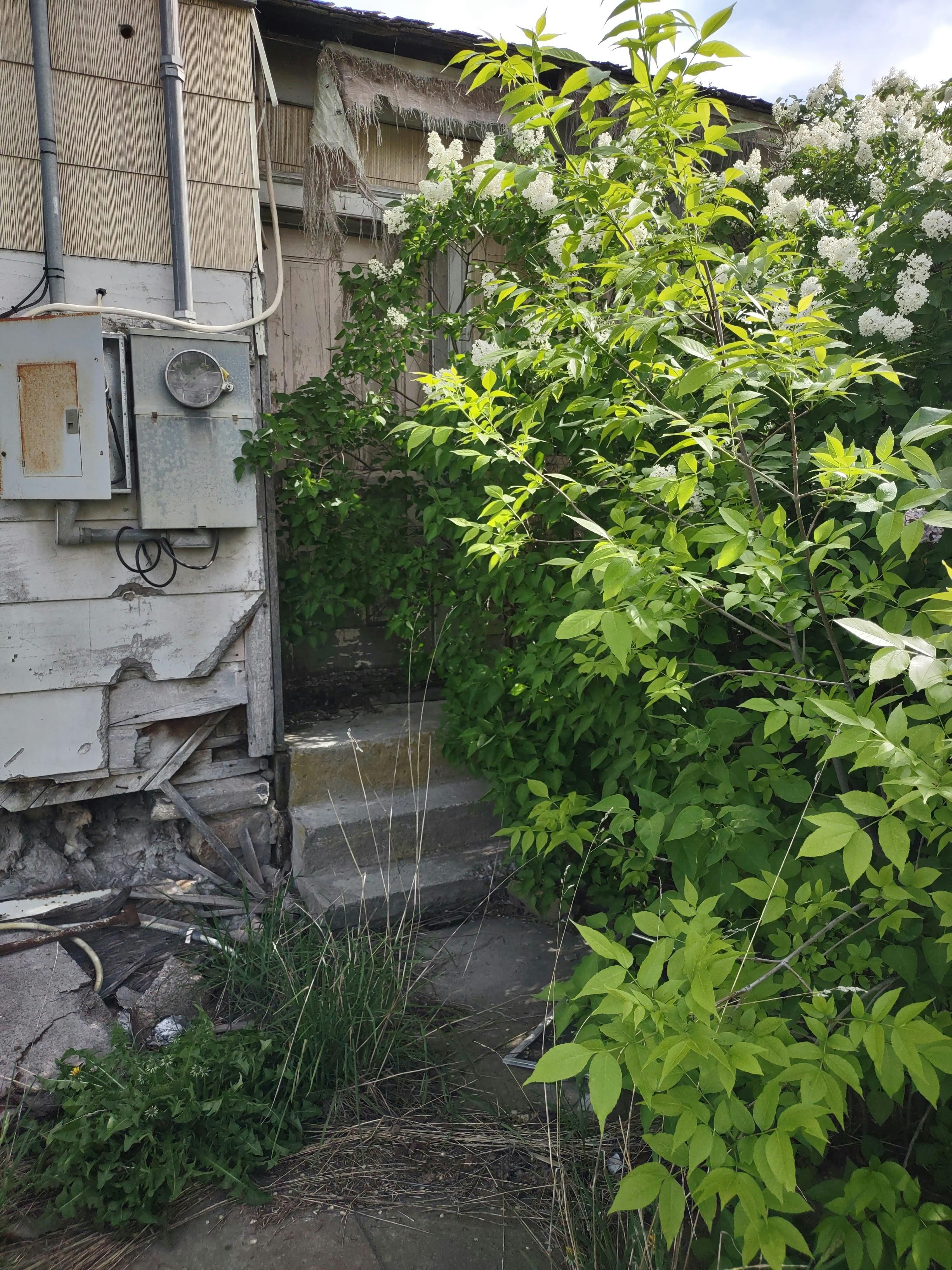 user avatar image for Andrew