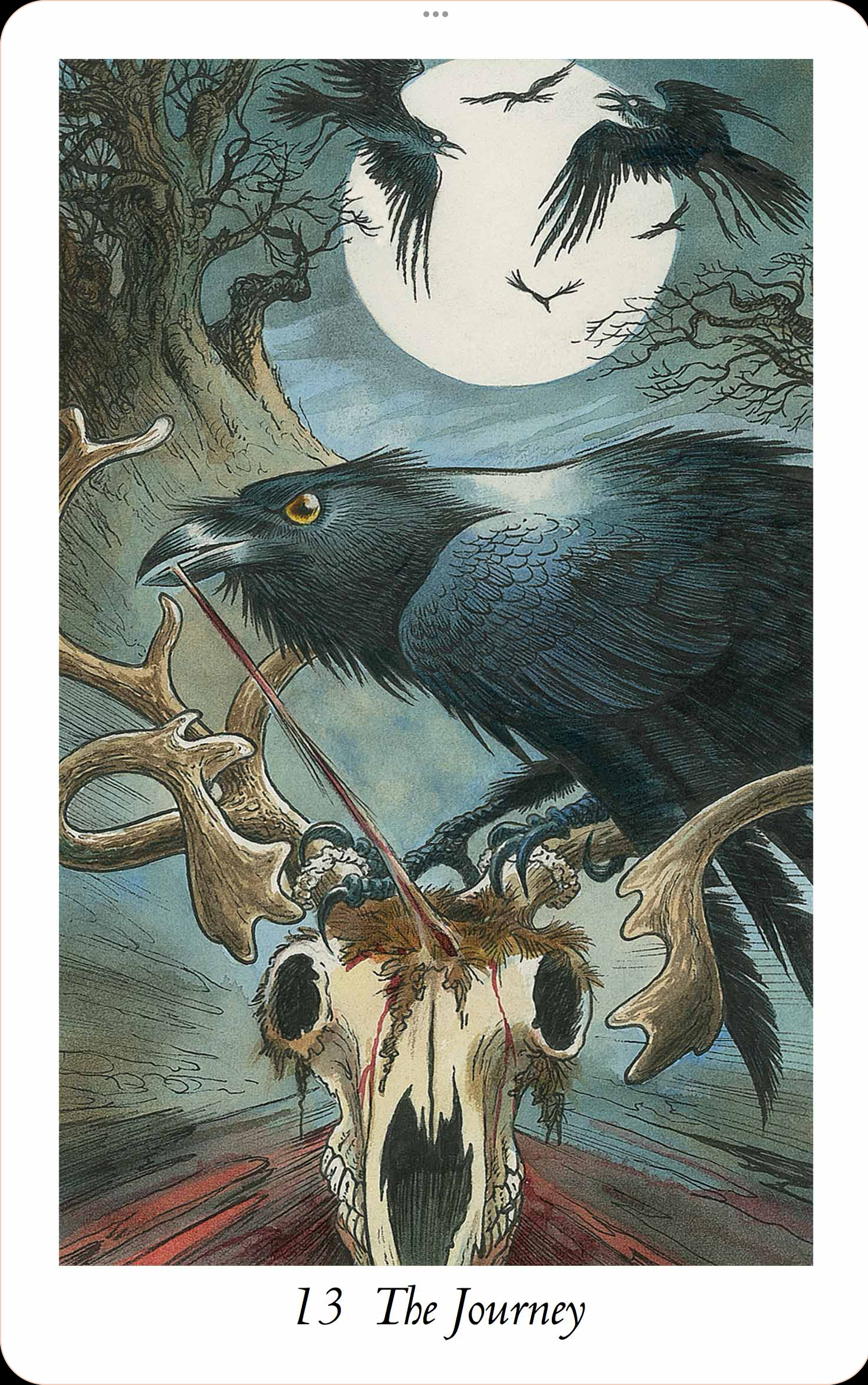 user avatar image for Greenraven