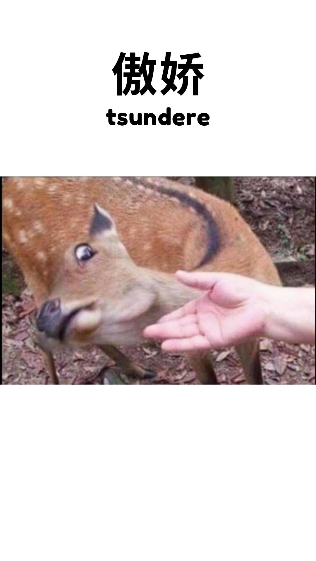 user avatar image for evgenijsemenov3409