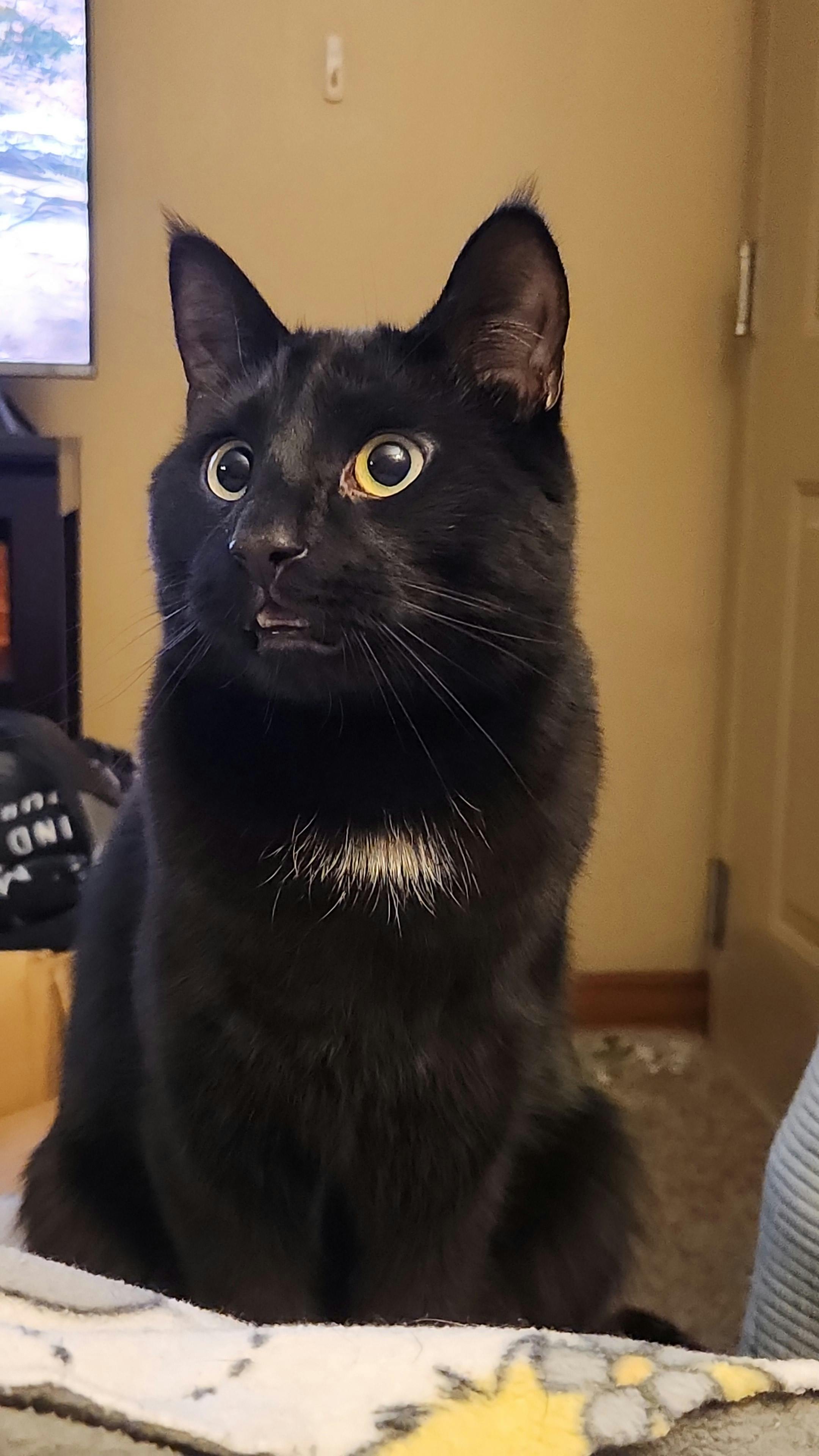 user avatar image for Catie 