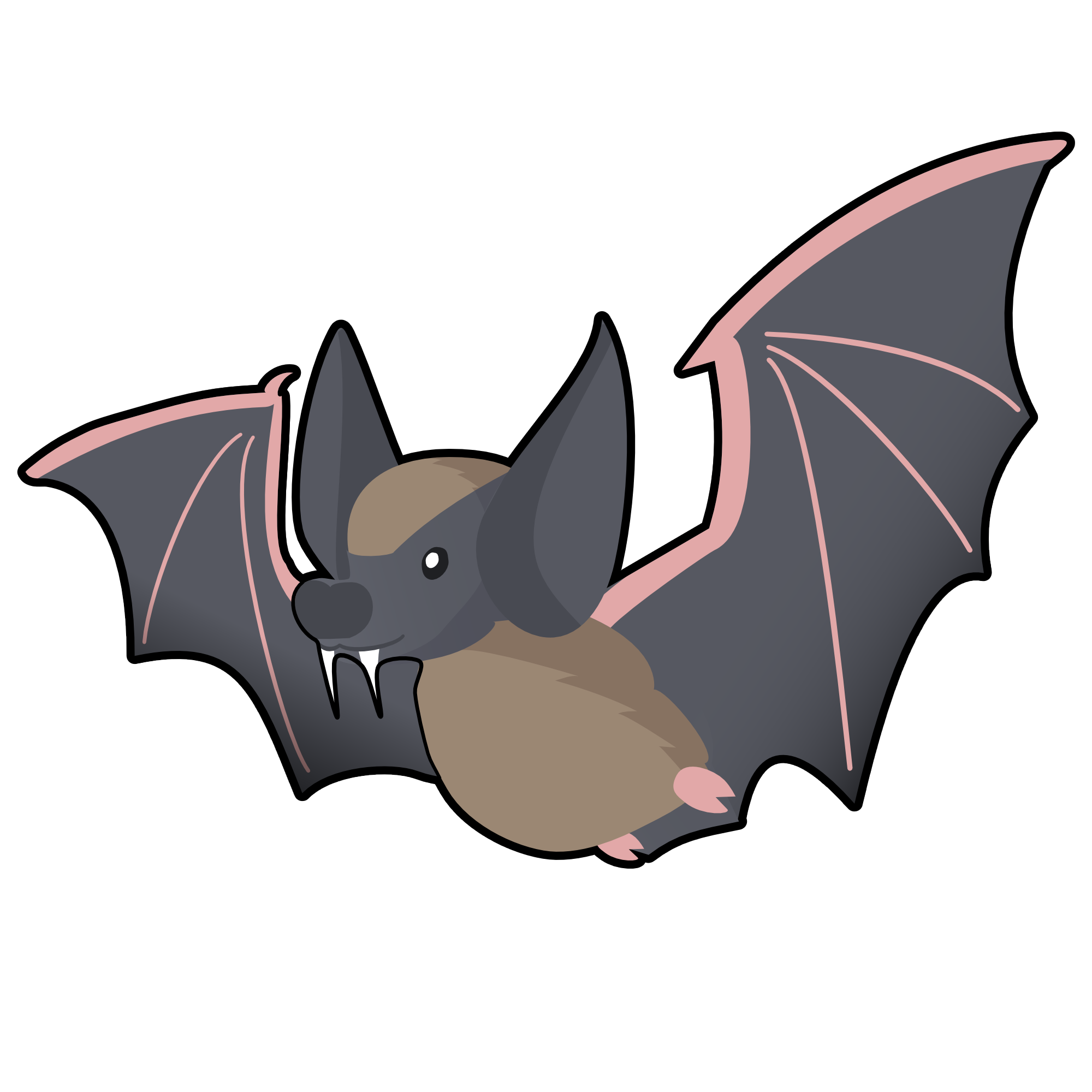 Big Brown Bat