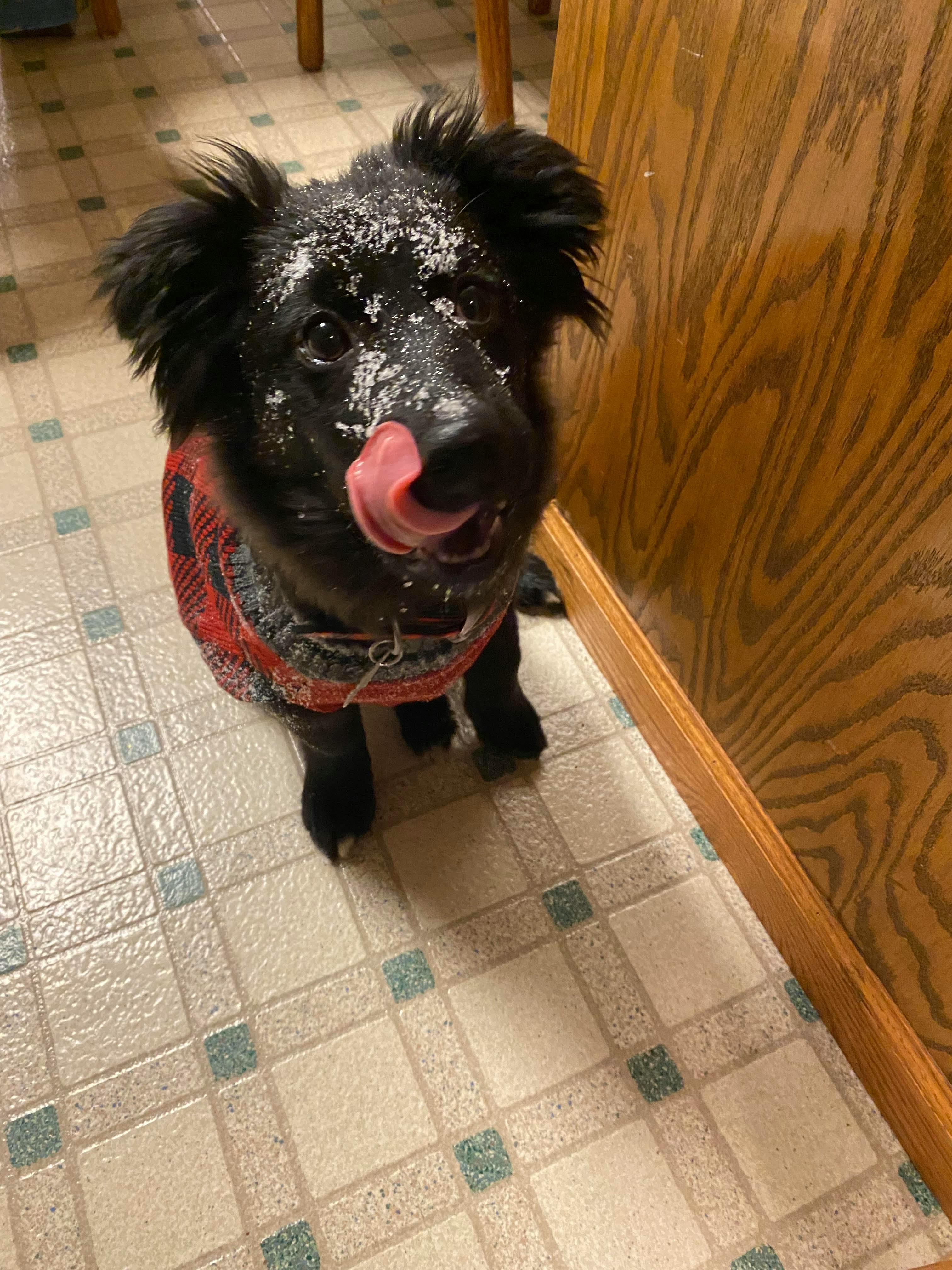 user avatar image for Maggie Soeby