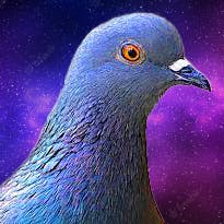 user avatar image for Pigeon Gryphon