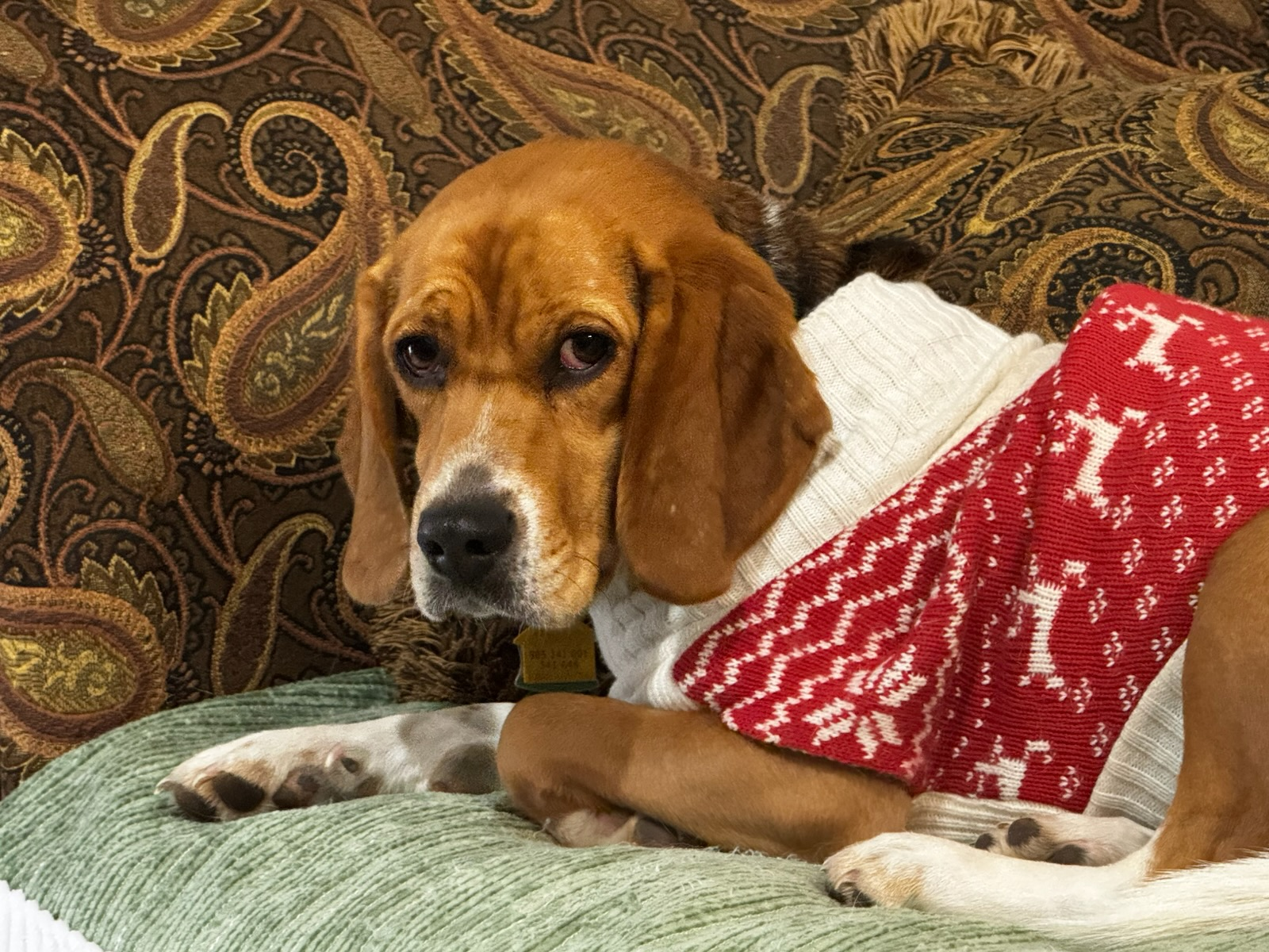 user avatar image for Alan V