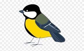 user avatar image for Zintolly