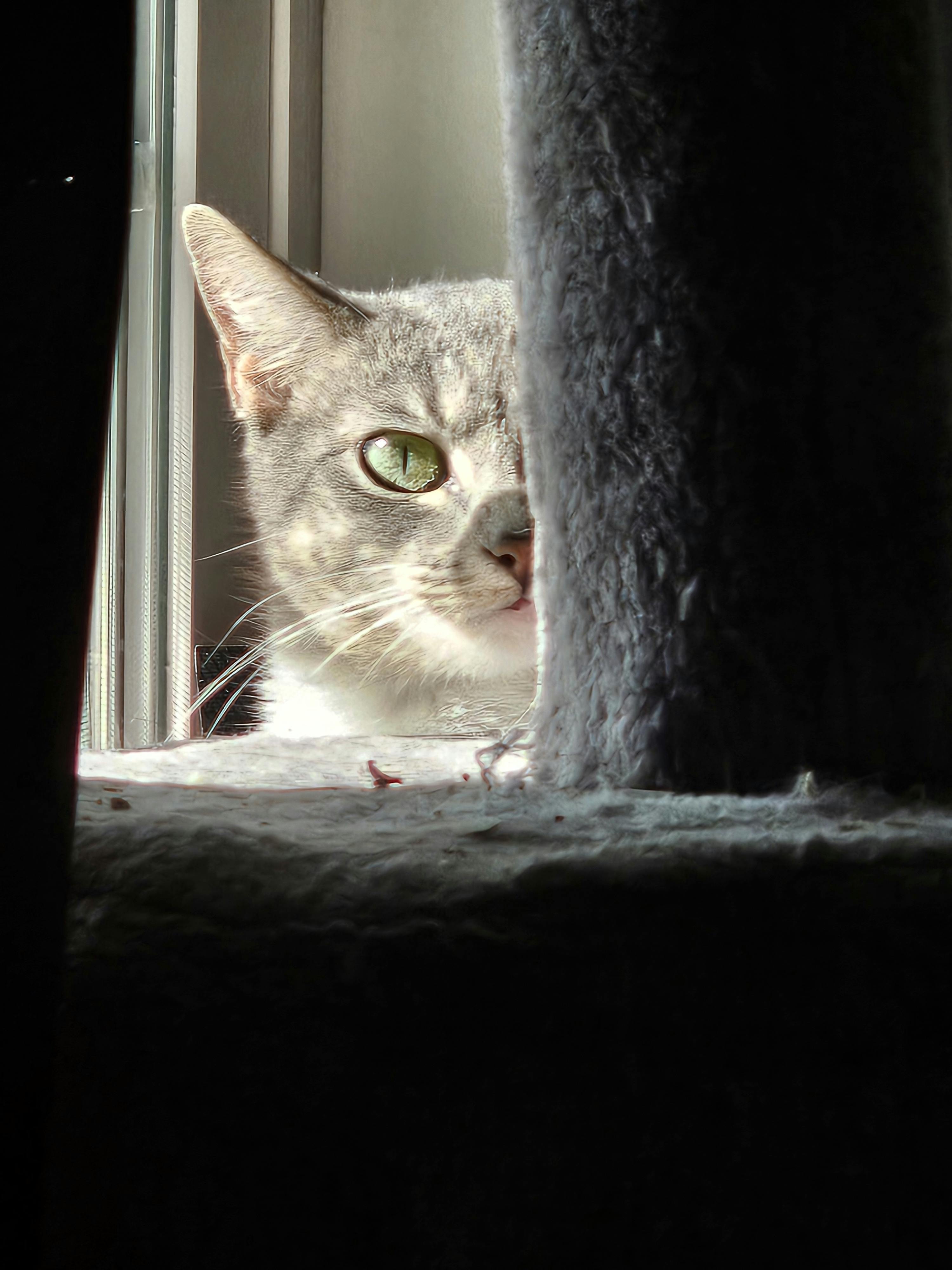 user avatar image for Keri Ross