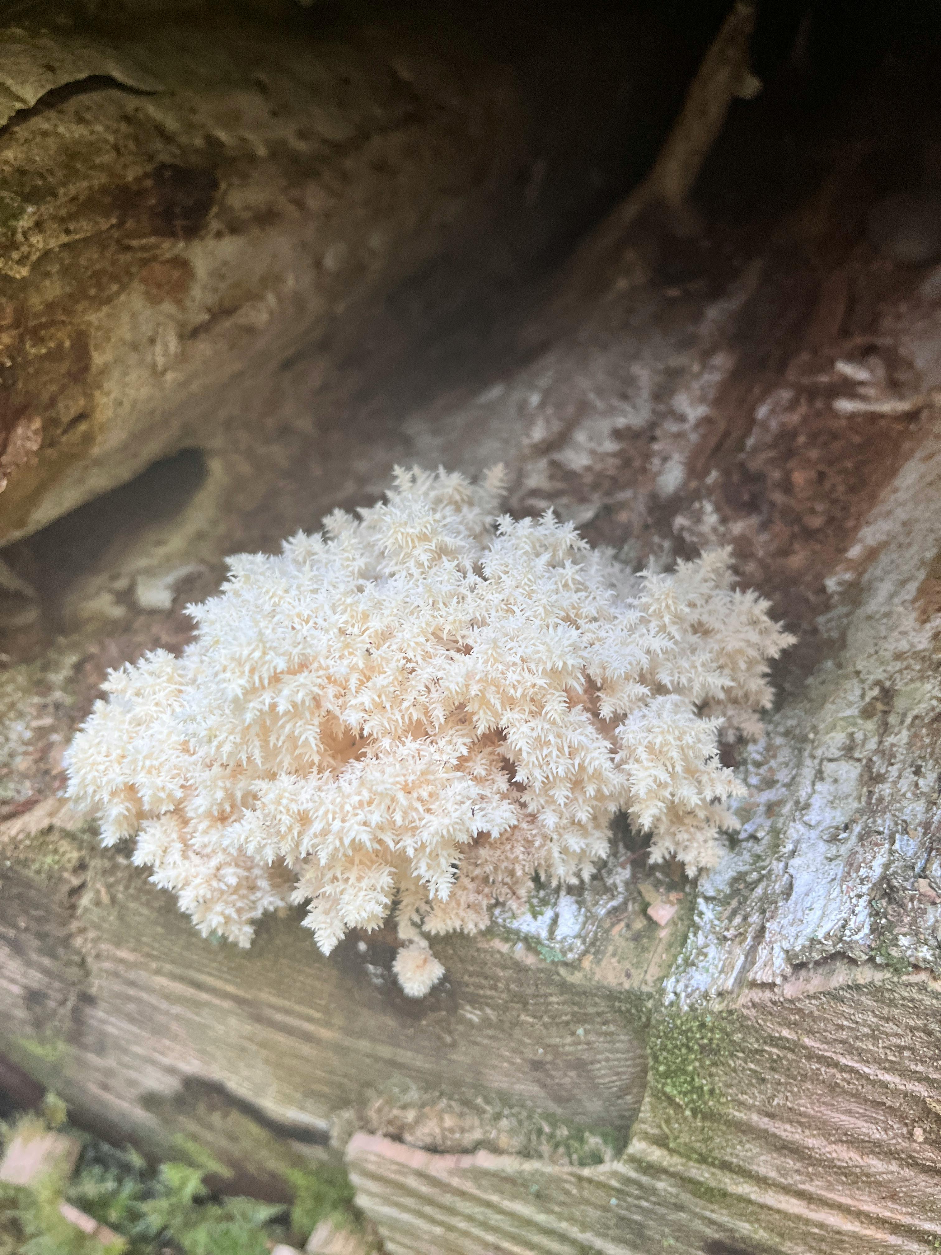 user avatar image for Jen S