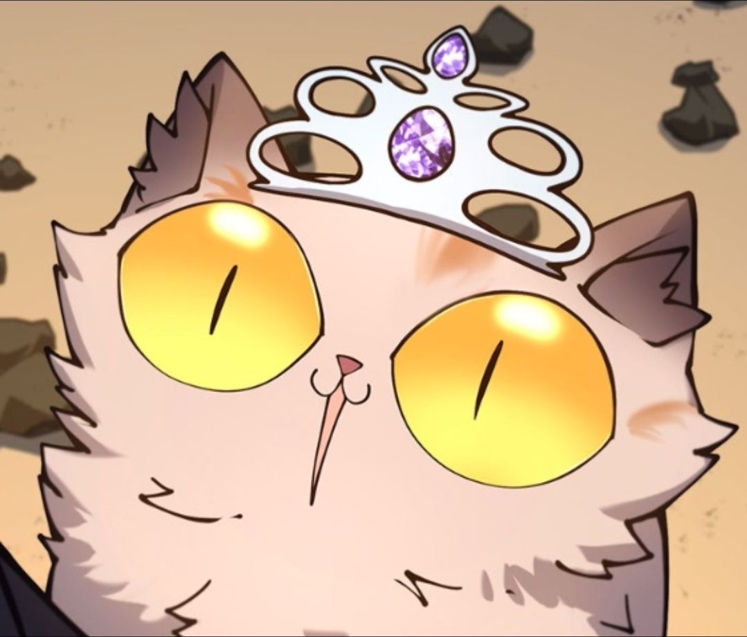 user avatar image for TJ