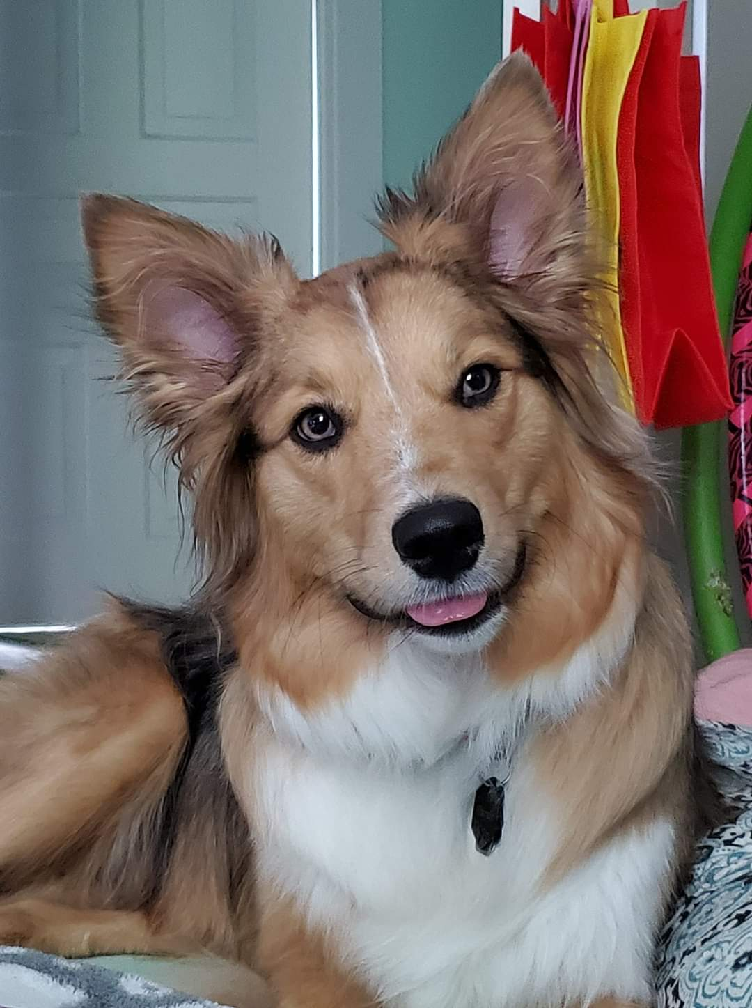 user avatar image for Danibird