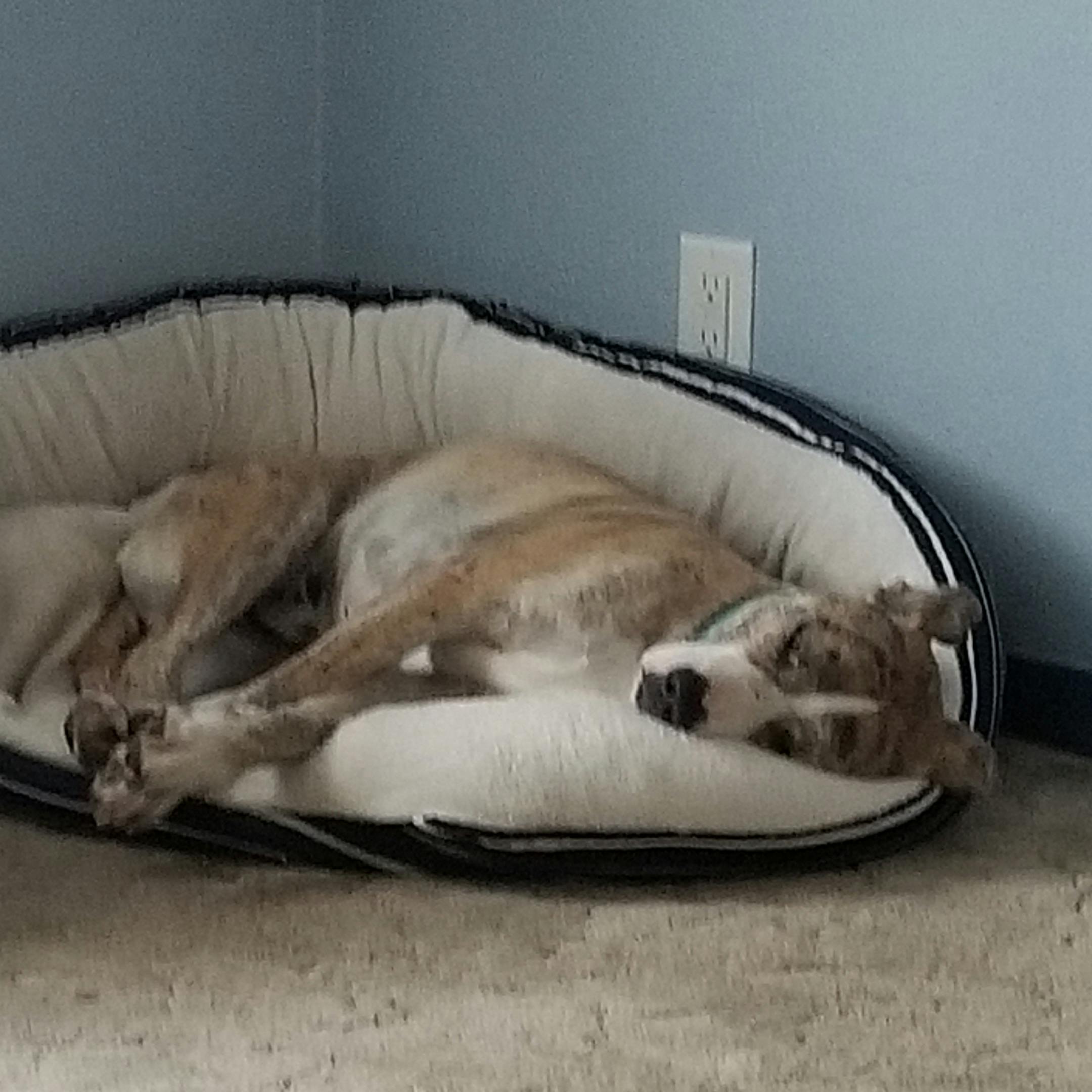 user avatar image for Jeremy