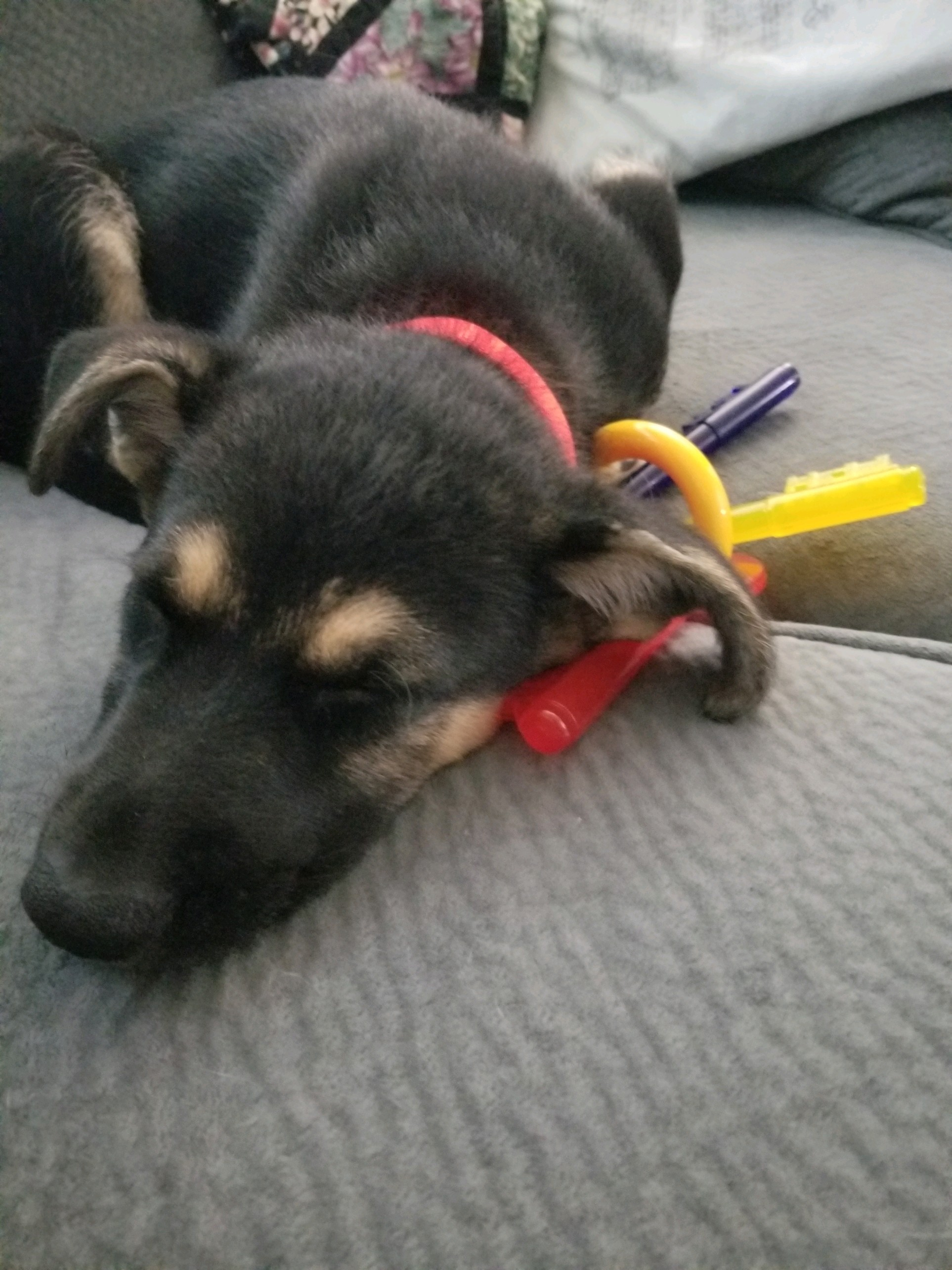 user avatar image for Link