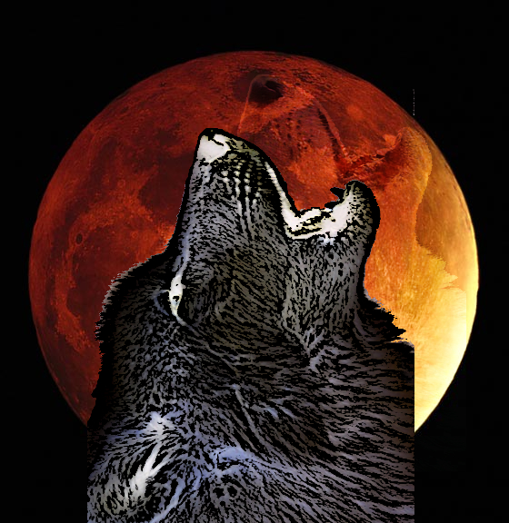 user avatar image for The BrazenWolfe