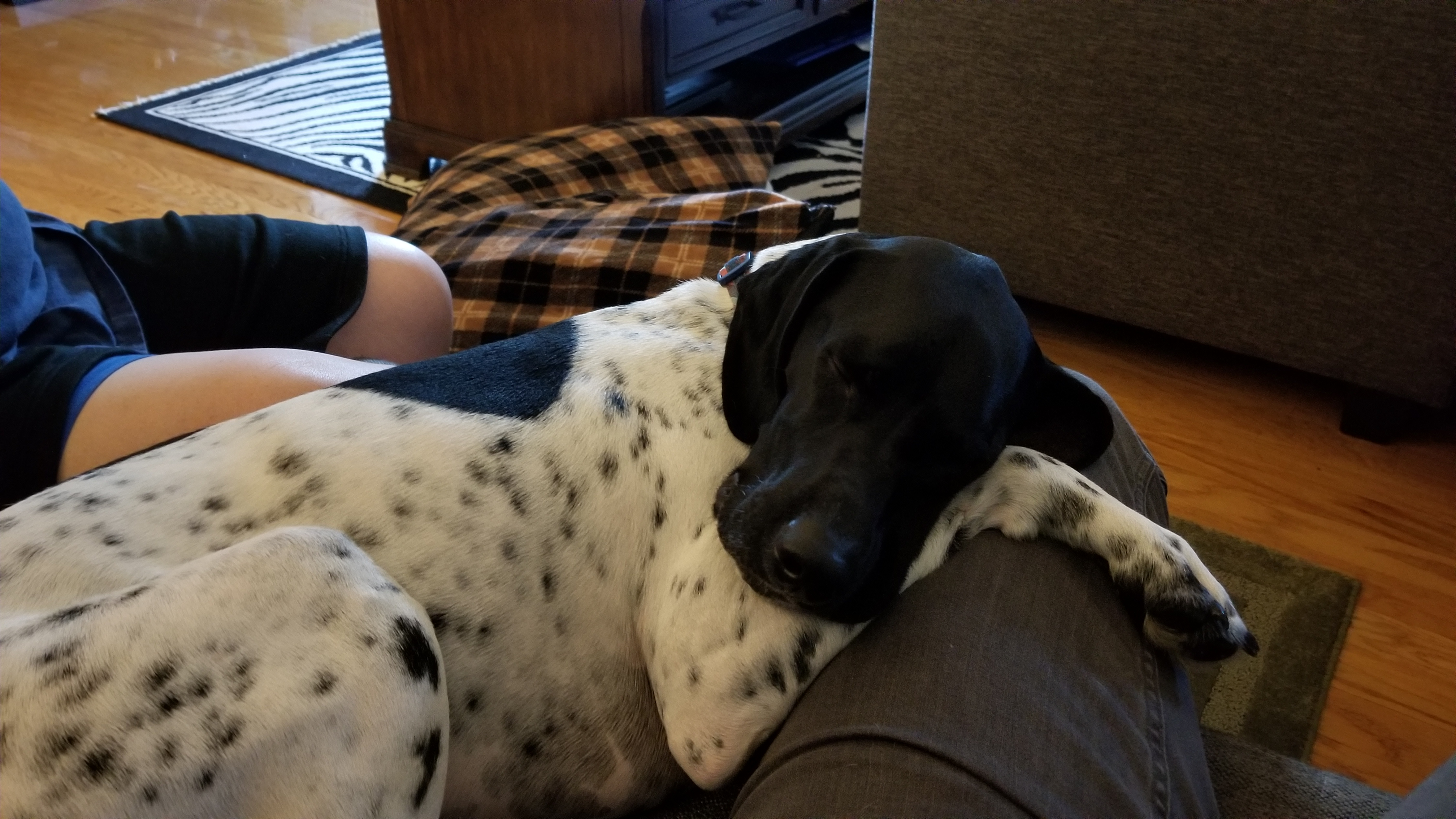 user avatar image for Nikki Cochran 