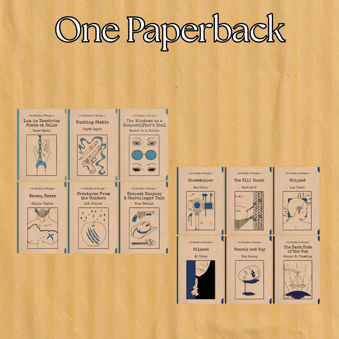 One Novella Paperback