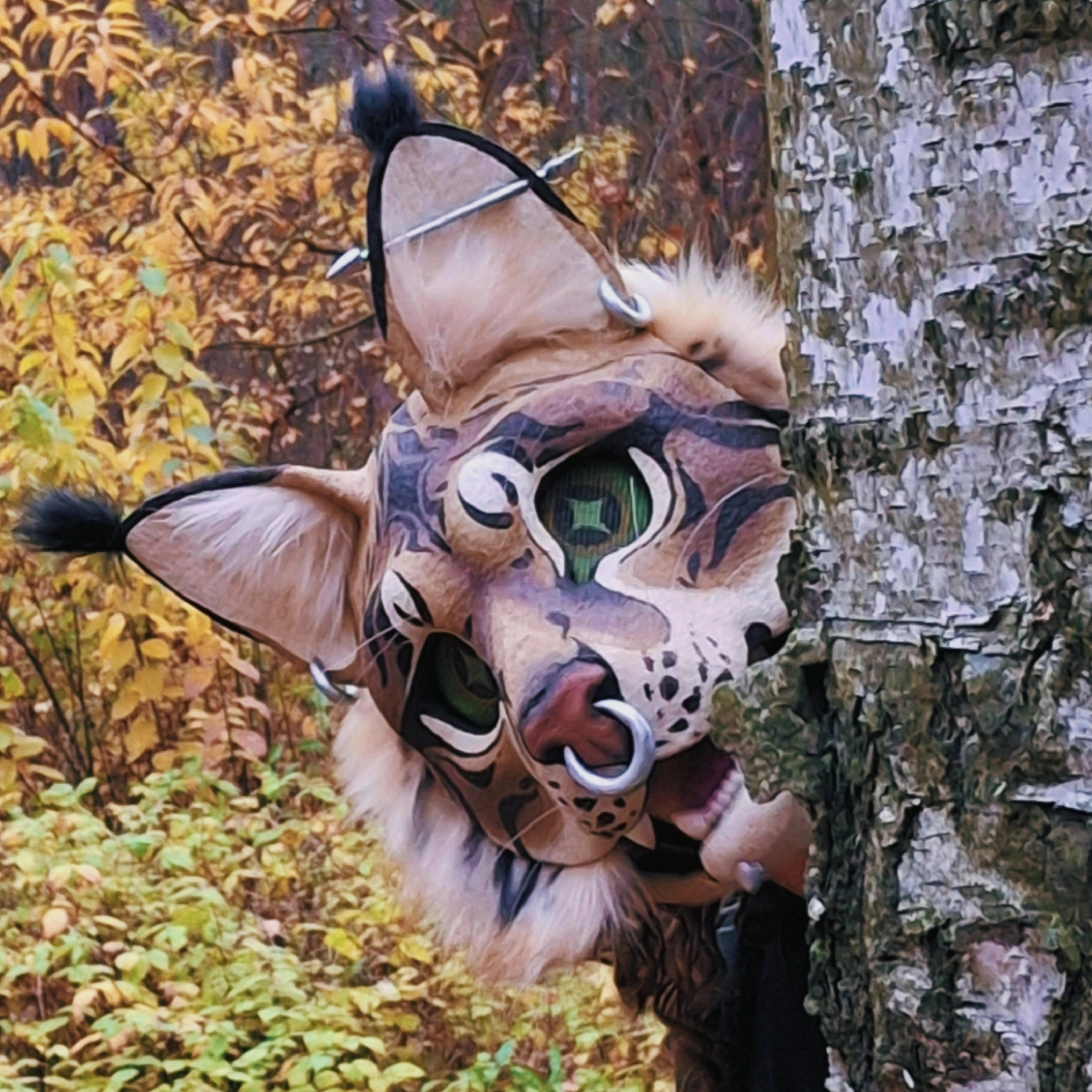 user avatar image for Arrow