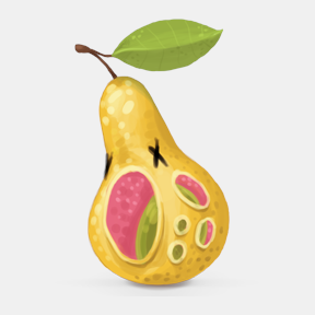 user avatar image for Perry