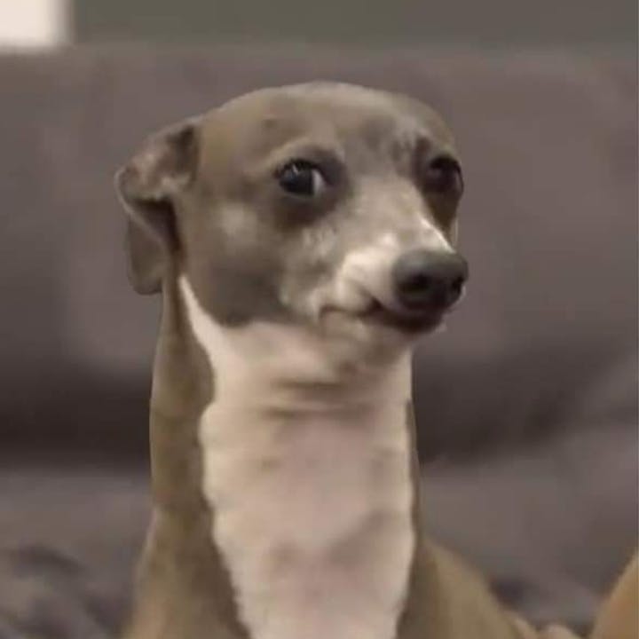 user avatar image for Jess