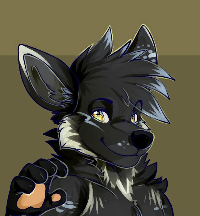 user avatar image for Dr0Shadow