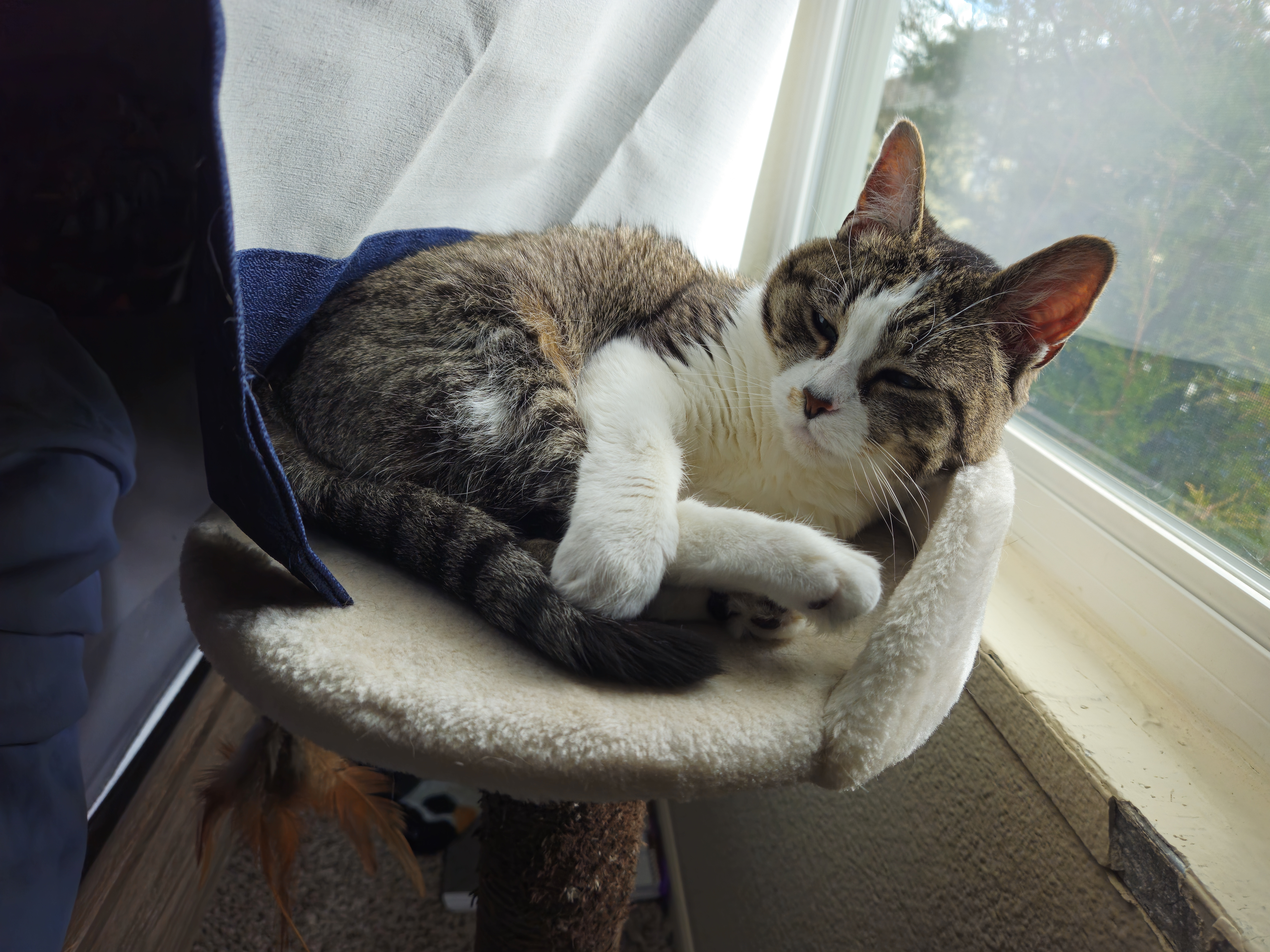 user avatar image for Jaryd 