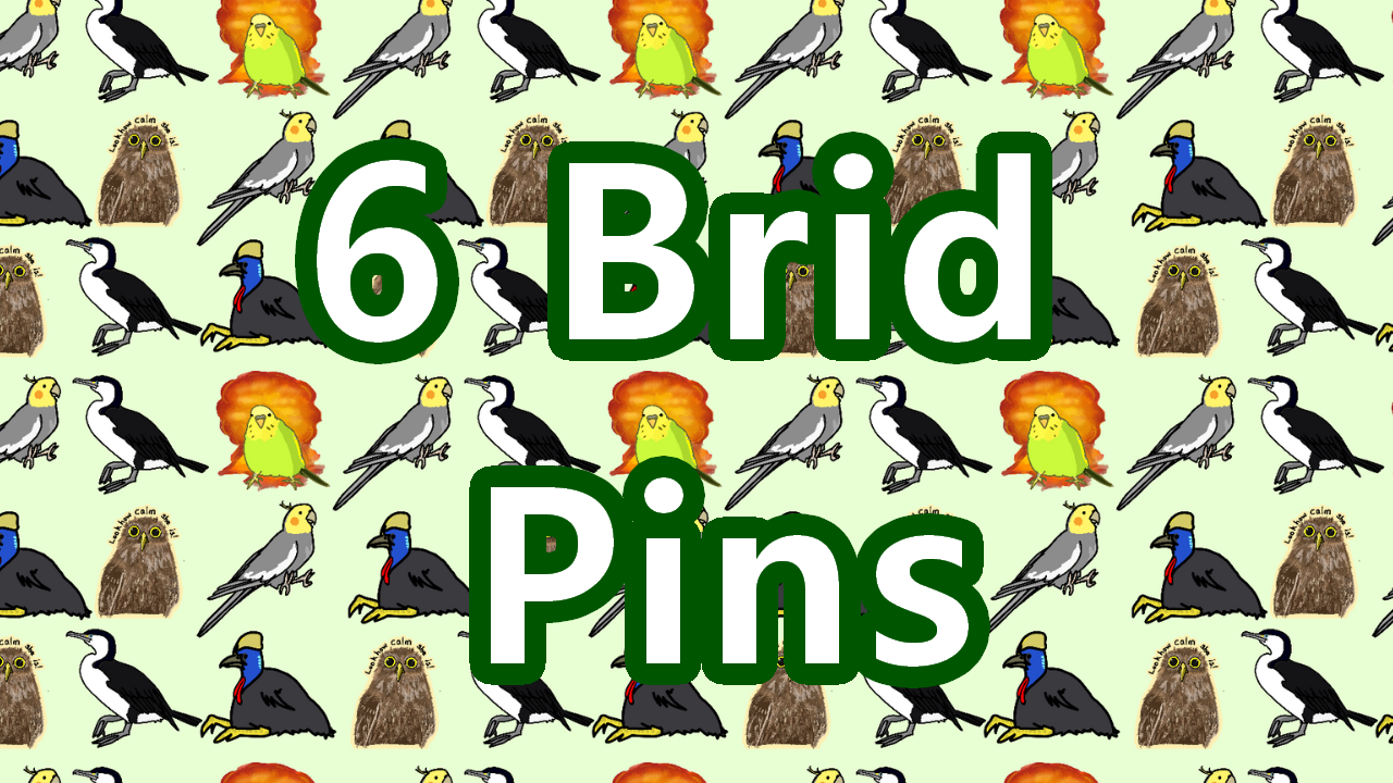 5 Enamel Pins