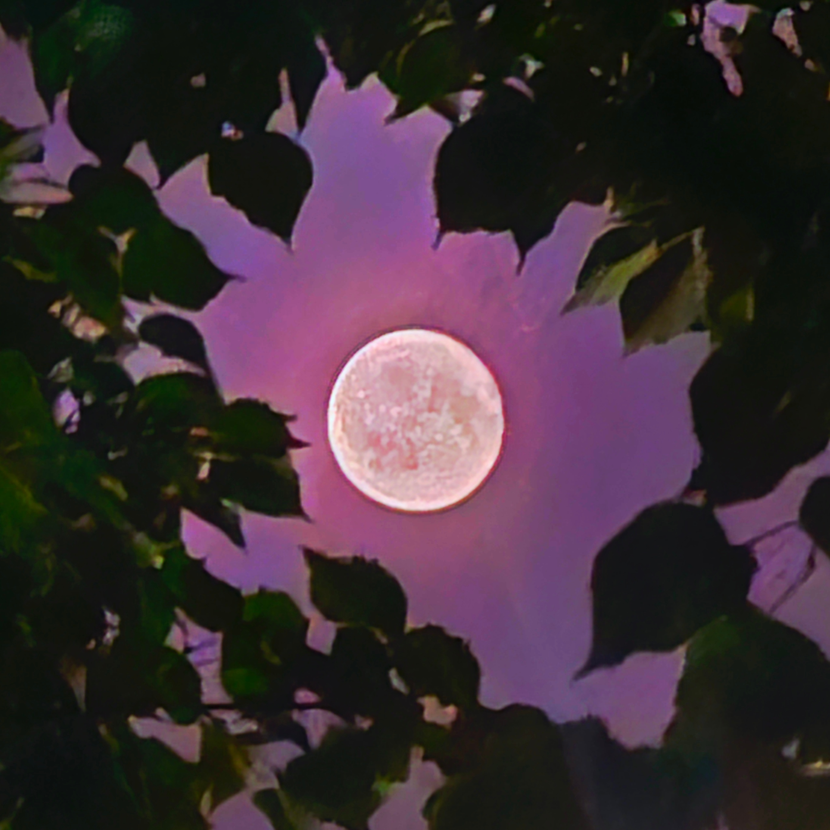user avatar image for 🧿WitchyHettt333