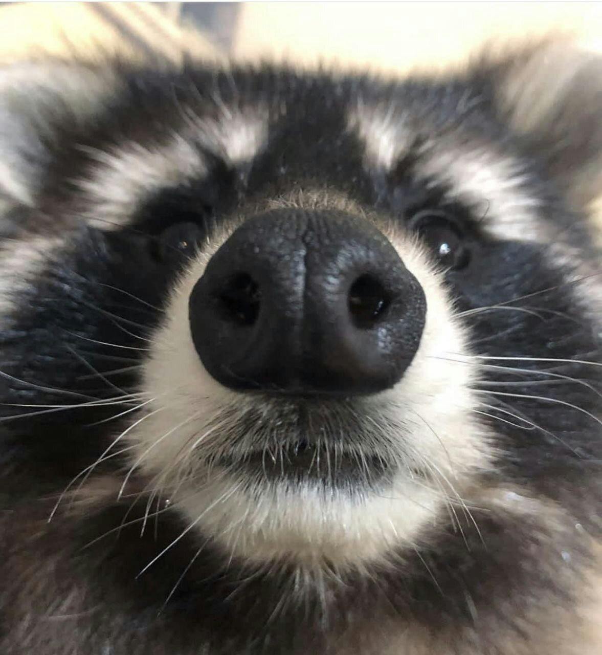 user avatar image for Claudio Cabrini