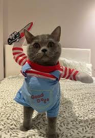 user avatar image for Tim Franke