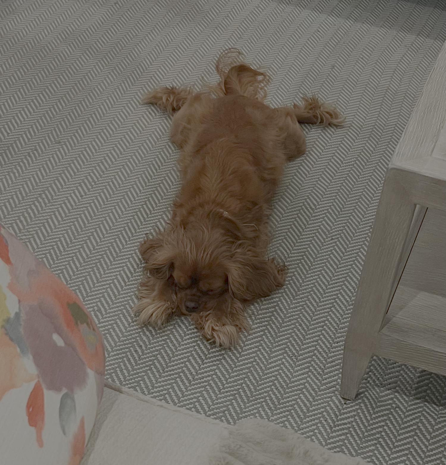 user avatar image for Luca