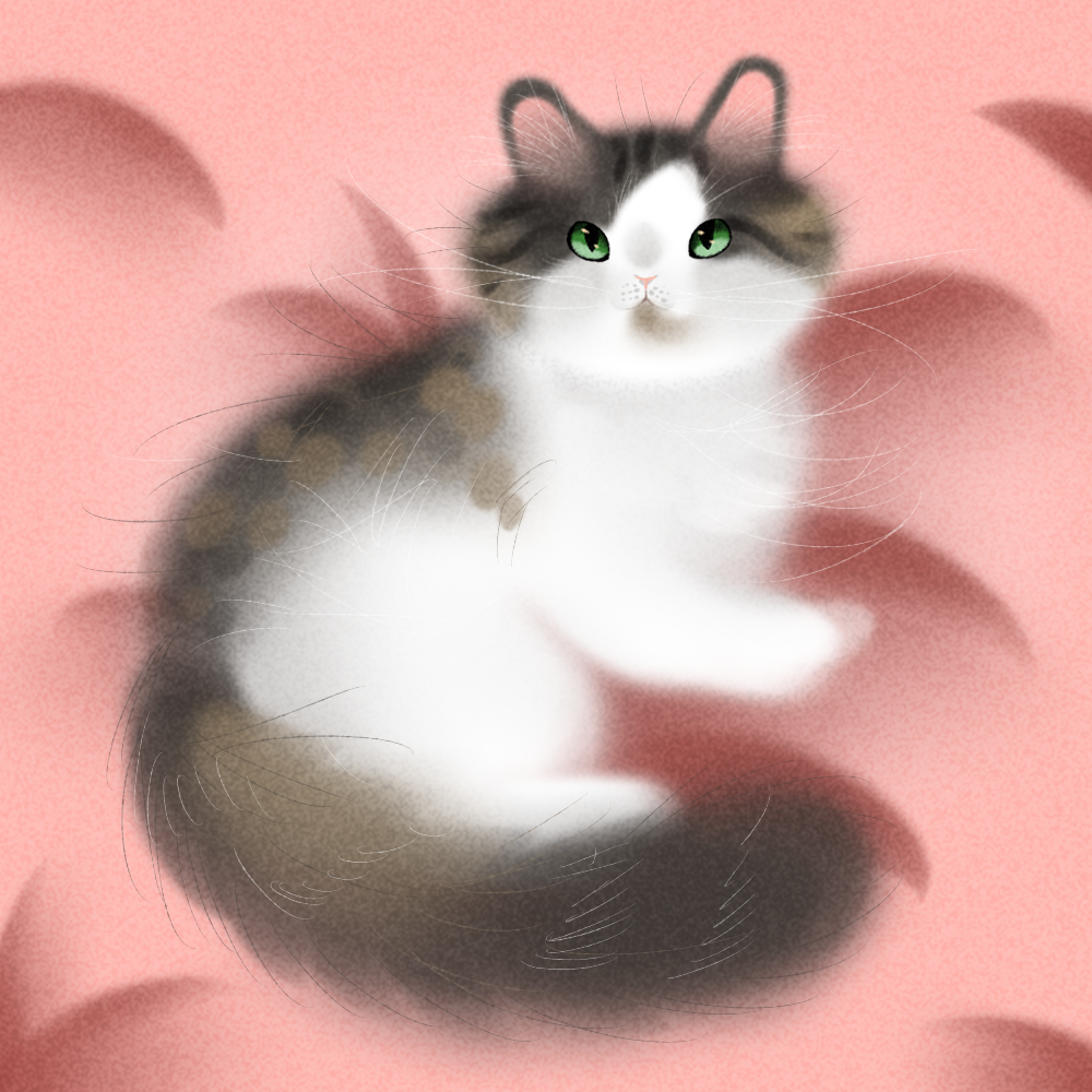 user avatar image for Silkmane