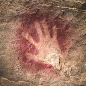 user avatar image for Cason Snow