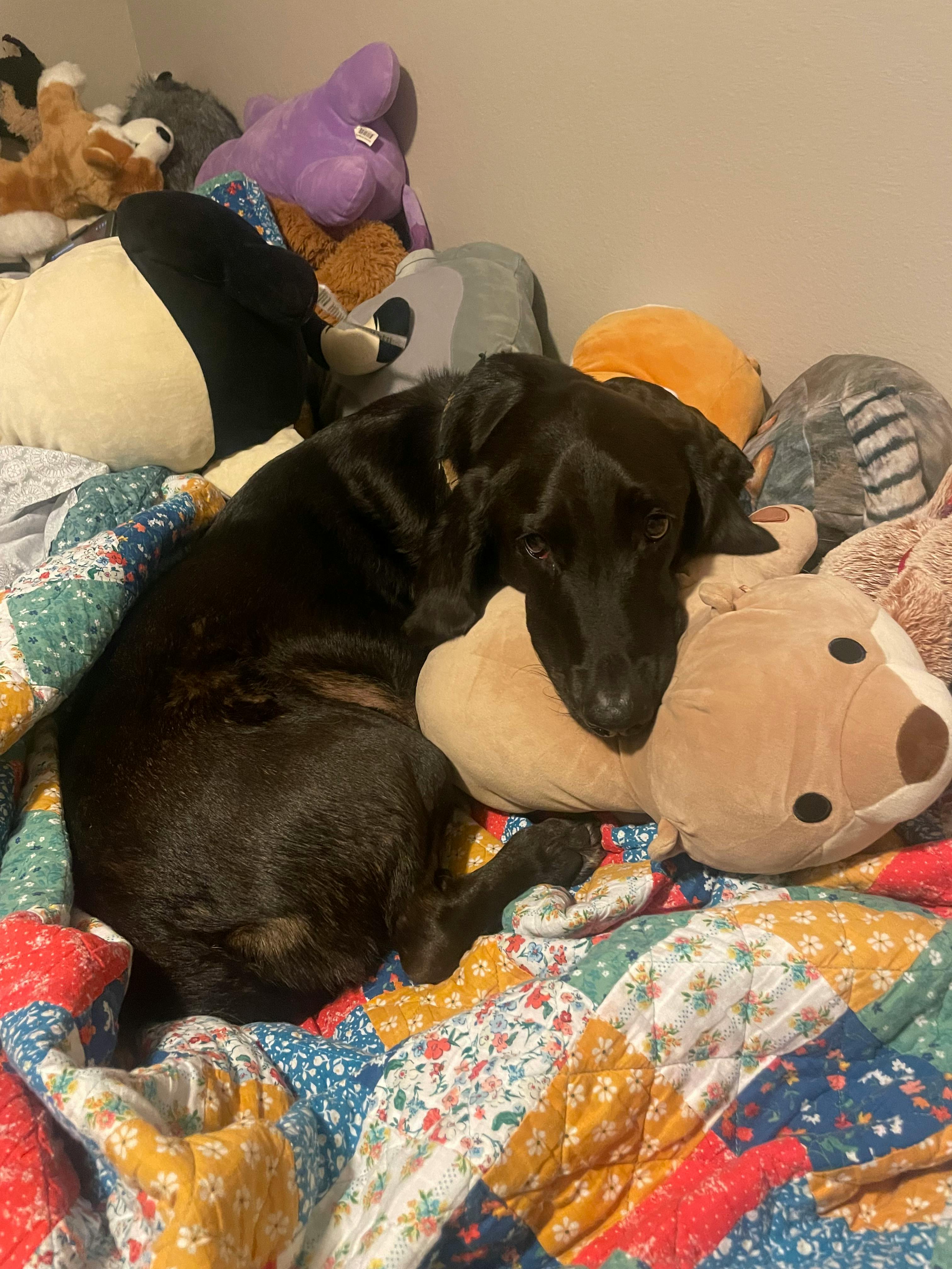 user avatar image for Mattie