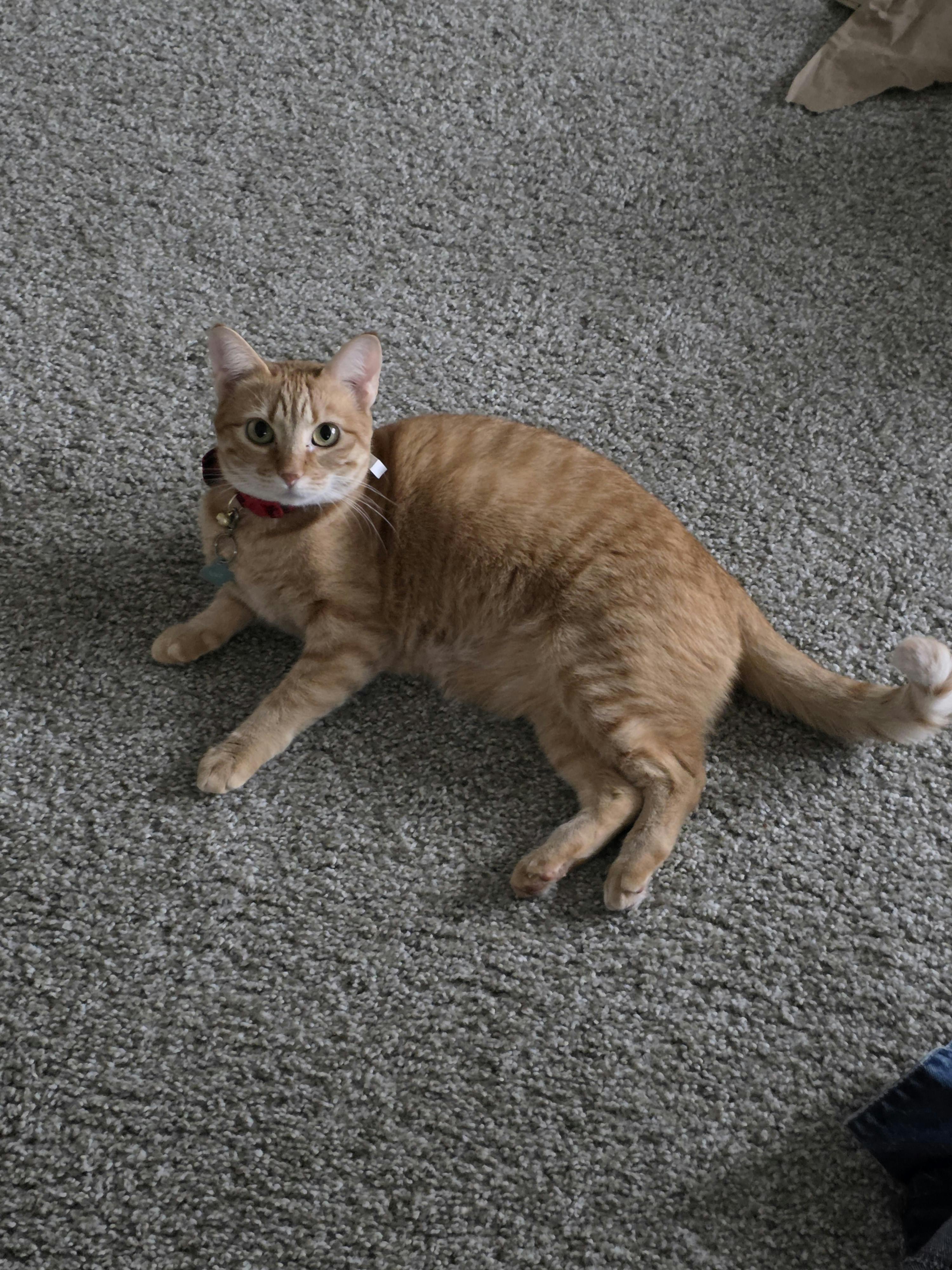 user avatar image for Arxire