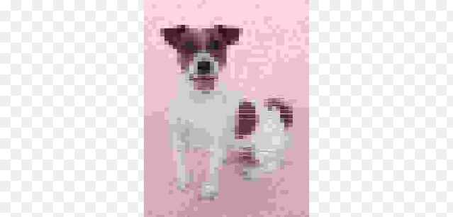 user avatar image for Buck95