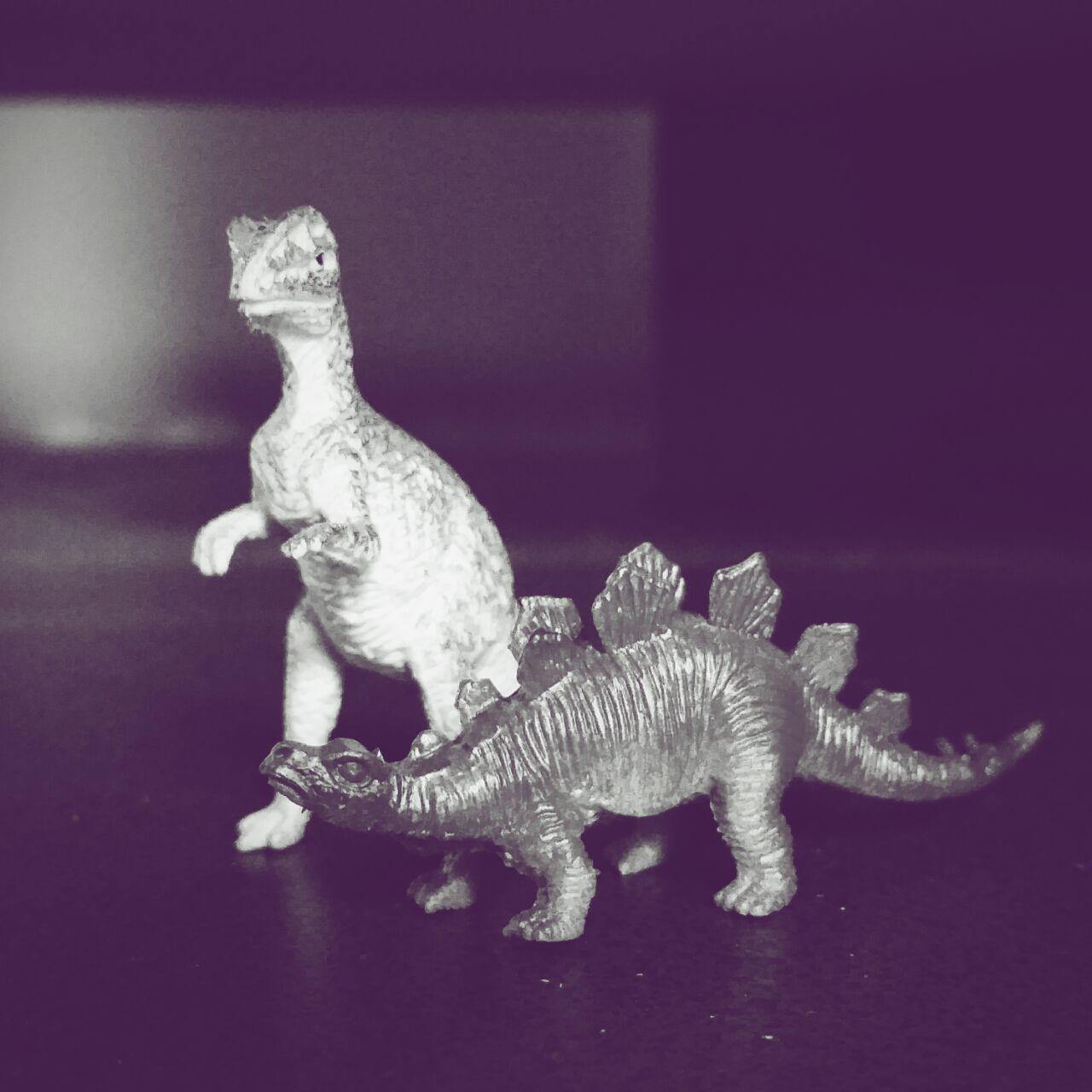 user avatar image for Amy