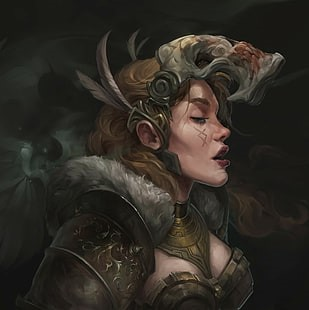 user avatar image for Valkyrinn