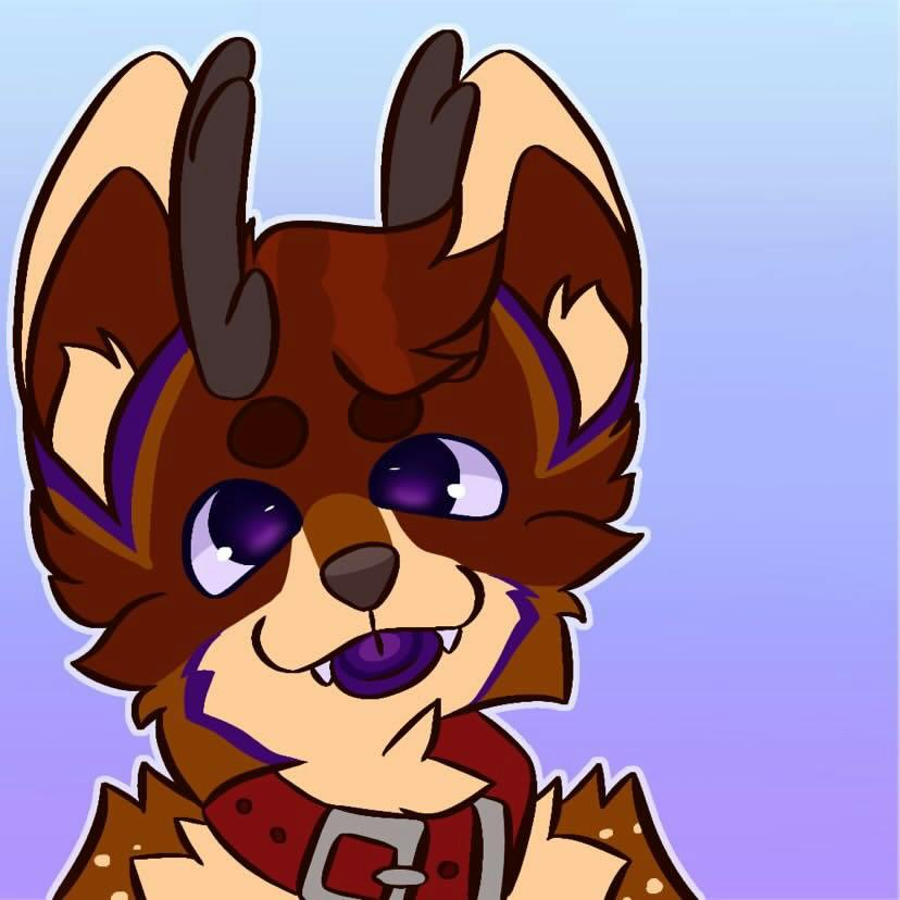 user avatar image for Aster