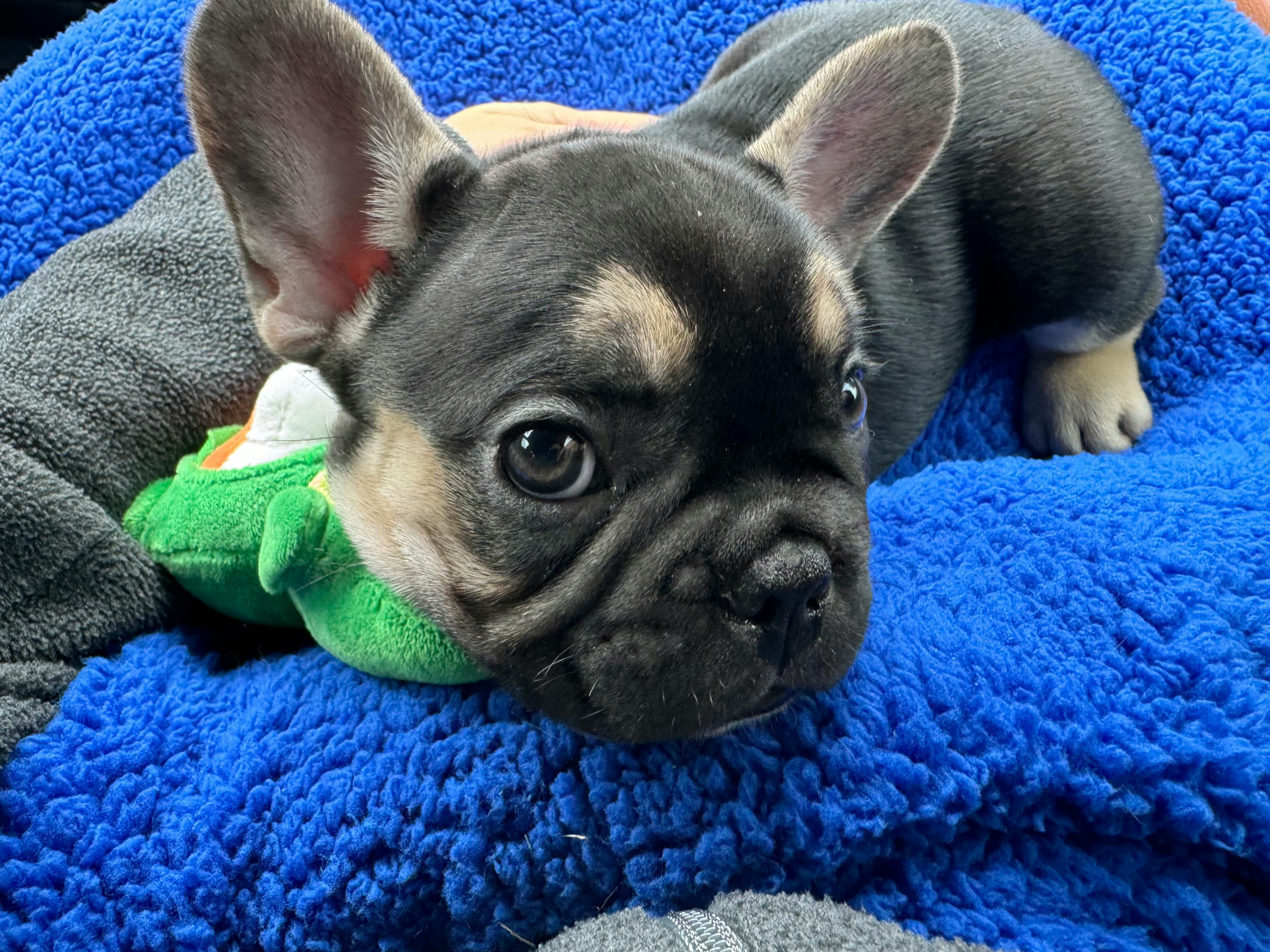 user avatar image for Sluffmo