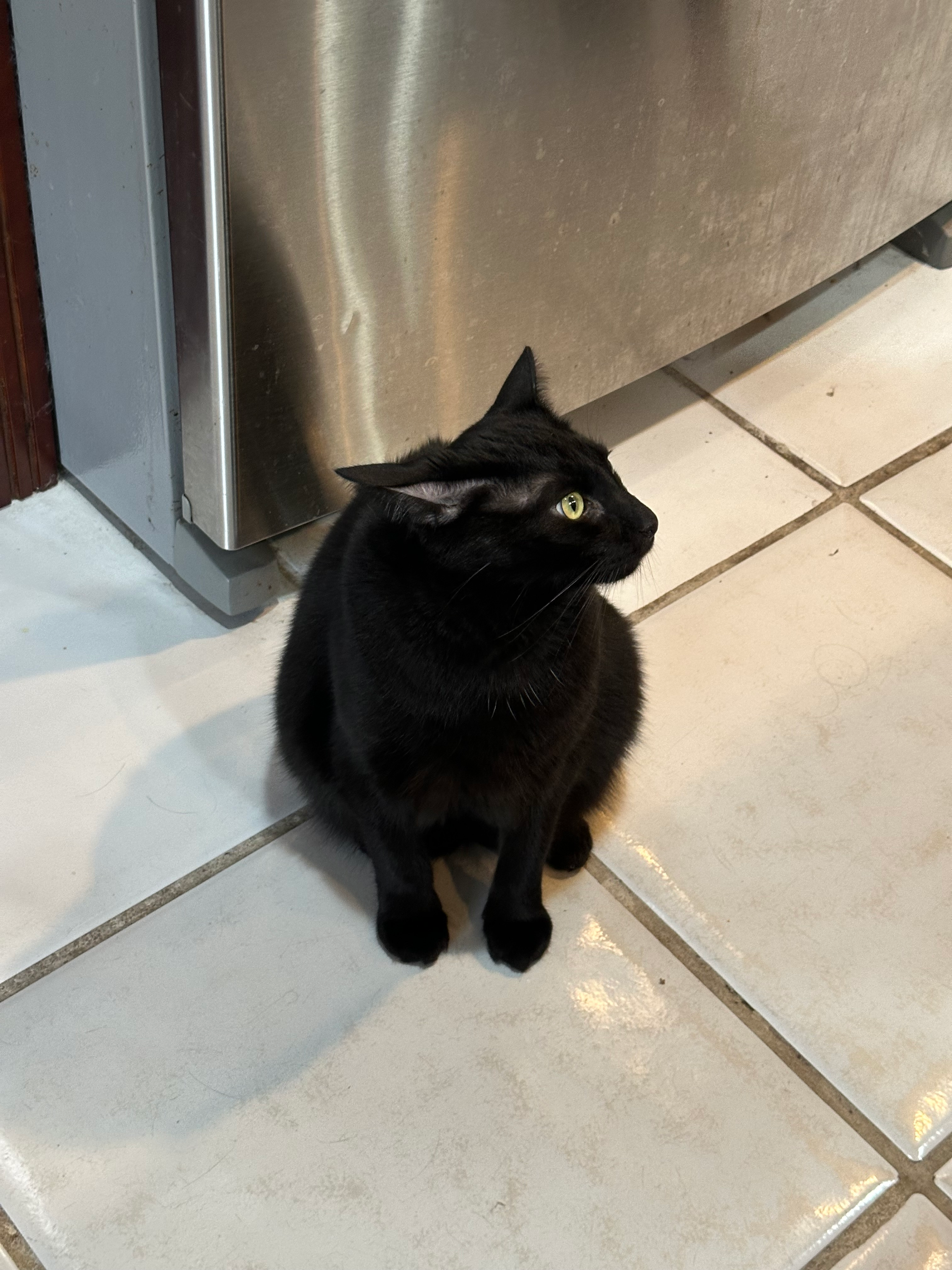 user avatar image for Cay